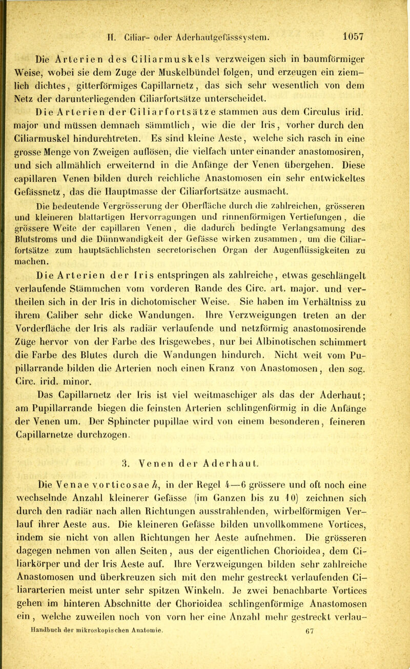 Die Arterien des Giliarmuskels verzweigen sich in baumförmiger Weise, wobei sie dem Zuge der Muskelbündel folgen, und erzeugen ein ziem- lich dichtes, gitterförmiges Capiilarnetz, das sich sehr wesentlich von dem Netz der darunterliegenden Ciliarfortsätze unterscheidet. Die Arterien der Giliarfortsätze stammen aus dem Circulus irid. major und müssen demnach sämmtlich, wie die der Iris, vorher durch den Ciliarmuskel hindurchtreten. Es sind kleine Aeste, welche sich rasch in eine grosse Menge von Zweigen auflösen, die vielfach untereinander anastomosiren, und sich allmählich erweiternd in die Anfänge der Venen übergehen. Diese capillaren Venen bilden durch reichliche Anastomosen ein sehr entwickeltes Gefässnetz, das die Hauptmasse der Ciliarfortsätze ausmacht. Die bedeutende Vergrösseriing der Oberfläche durch die zahlreichen, grösseren und kleineren blaltartigen Hervorragungen und rinnenförmigen Vertiefungen , die grössere Weite der capillaren Venen , die dadurch bedingte Verlangsamung des Blutstroms und die Dünnwandigkeit der Gefässe wirken zusammen, um die Ciliar- fortsätze zum hauptsächlichsten secretorischen Organ der Augenfliissigkeiten zu machen. Die Arterien der Iris entspringen als zahlreiche, etwas geschlängelt verlaufende Stämmchen vom vorderen Rande des Girc. art. major. und ver- theilen sich in der Iris in dichotomischer Weise. Sie haben im Verhältniss zu ihrem Galiber sehr dicke Wandungen. Ihre Verzweigungen treten an der Vorderfläche der Iris als radiär verlaufende und netzförmig anastomosirende Züge hervor von der Farbe des Irisgewebes, nur bei Albinotischen schimmert die Farbe des Blutes durch die Wandungen hindurch. Nicht weit vom Pu- pillarrande bilden die Arterien noch einen Kranz von Anastomosen, den sog. Circ. irid. minor. Das Capiilarnetz der Iris ist viel weitmaschiger als das der Aderhaut; am Pupillarrande biegen die feinsten Arterien schlingenförmig in die Anfänge der Venen um. Der Sphincter pupillae wird von einem besonderen, feineren Capillarnetze durchzogen. 3. Venen der Aderhaut. Die Venae vorticosae 7^, in der Regel 4—6 grössere und oft noch eine wechselnde Anzahl kleinerer Gefässe (im Ganzen bis zu 10) zeichnen sich durch den radiär nach allen Richtungen ausstrahlenden, wirbelförmigen Ver- lauf ihrer Aeste aus. Die kleineren Gefässe bilden unvollkommene Vortices, indem sie nicht von allen Richtungen her Aeste aufnehmen. Die grösseren dagegen nehmen von allen Seiten, aus der eigentlichen Chorioidea, dem Ci- liarkörper und der Iris Aeste auf. Ihre Verzweigungen bilden sehr zahlreiche Anastomosen und überkreuzen sich mit den mehr gestreckt verlaufenden Ci- - liararterien meist unter sehr spitzen Winkeln. Je zwei benachbarte Vortices gehen im hinteren Abschnitte der Chorioidea schlingenförmige Anastomosen ein , welche zuweilen noch von vorn her eine Anzahl mehr gestreckt verlau- Hamlbiicli der mikroskopischen Anatomie, 67