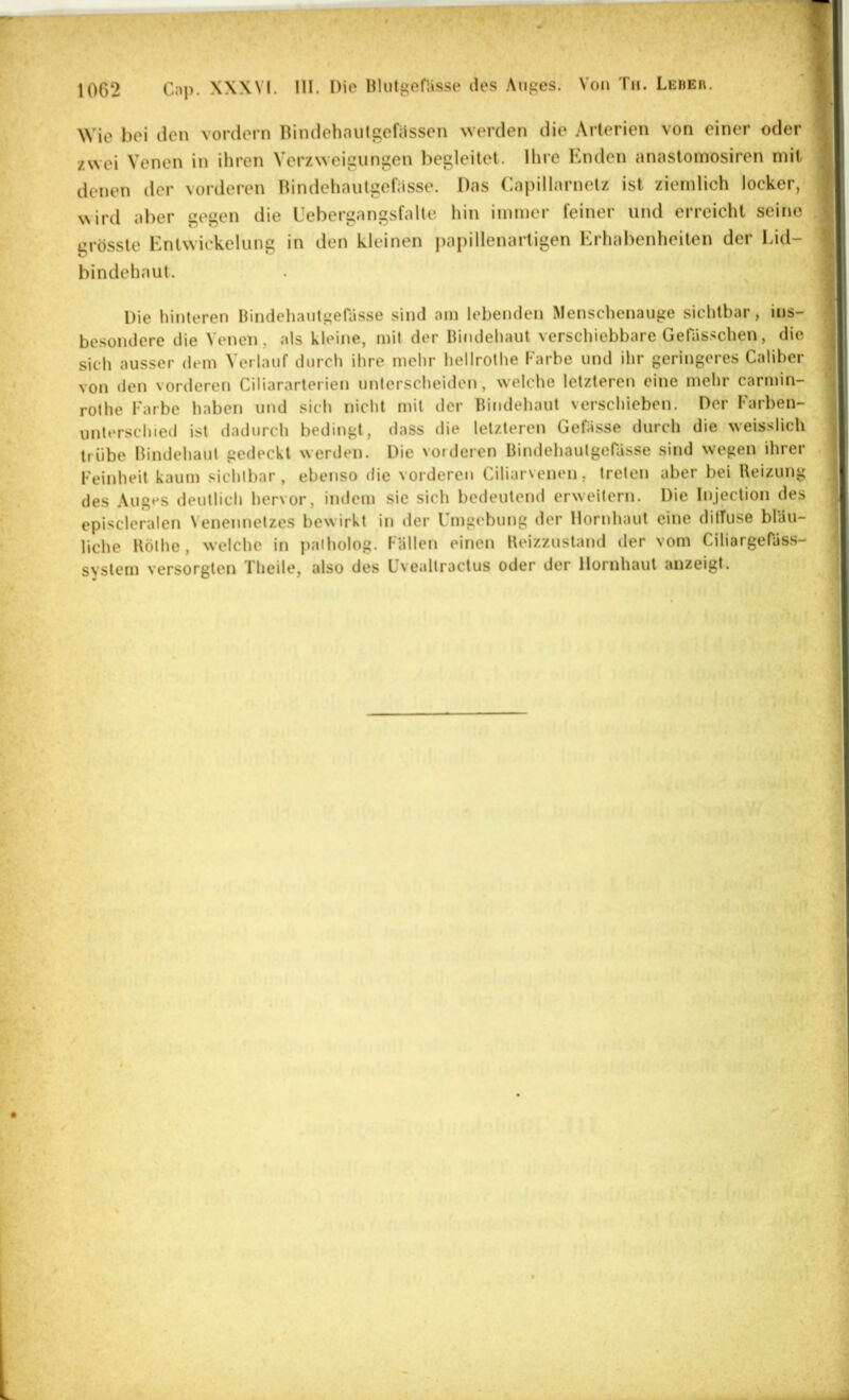 Wie bei den vordem Bindehautgefässen werden die Arterien von einer oder zwei Venen in ihren Verzweigungen l)egleitet. Ihre Enden anastomosiren mit denen der vorderen Bindchautgefiisse. Das Capillarnelz ist ziemlich locker, wird aber gegen die Uebergangsfalte hin immer feiner und erreicht seine grösste Entwickelung in den kleinen papillenartigen Erhabenheiten der Lid- bindehaut. Die hinteren Bindehautgefüsse sind am lebenden Menschenaiige sichtbar, ins- besondere die Venen, als kleine, mit der Bindehaut verschiebbare Getasschen, die sich ausser dem Verlauf durch ihre mehr hellrothe Karbe und ihr geringeres Caliber von den vorderen Ciliararterien unterscheiden, welche letzteren eine mehr carmin- rolhe Farbe haben und sich nicht mit der Bindehaut verschieben. Der Farben- unterschied ist dadurch bedingt, dass die letzteren Gebisse durch die weisslich trübe Bindehaut gedeckt werden. Die vorderen BindehautgeOisse sind wegen ihrer Feinheit kaum sichtbar, ebenso die vorderen Ciliarvenen, treten aber bei Beizung des Auges deutlich hervor, indem sie sich bedeutend erweitern. Die In.jection des episcleralen Venennetzes bewirkt in der Umgebung der Hornhaut eine dilTuse bläu- liche Bölhe, welche in palholog. Fällen einen Beizzustand der vom CiliargePäss- system versorgten Tlieile, also des Uvealtractus oder der Hornhaut anzeigt.