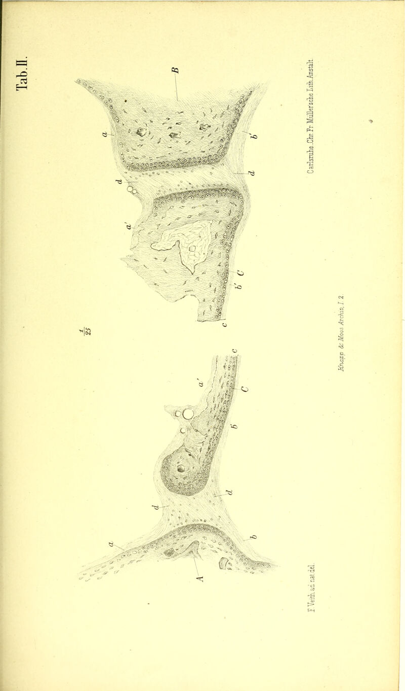 I-Yeitiiadnatdel. CaxlsiulLß.-Ckl’T.Miillei'sc'lie