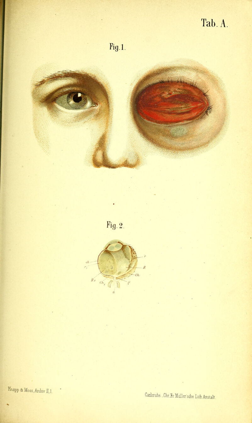 Klapp & Moos, AichivIU, Gailsnihe -ChrJrlMler'sclie Litli.Anstalt.