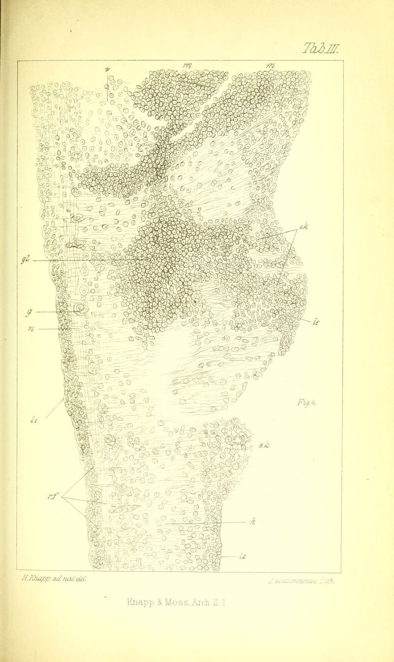 TdiM H.Iviapp ad na/;: del. J.iwiia;jn/a;iiad dd^y. FiyA.