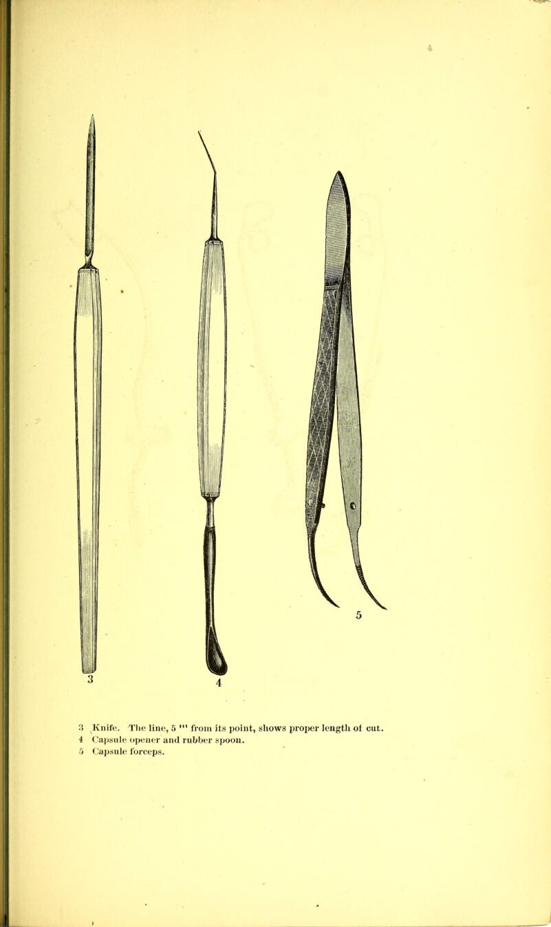 4 .3 ^Knife. Tlie line, 5 from its point, shows proper length ot cut. 4 Capsule opener and rubber spoon. 5 Capsule forceps.