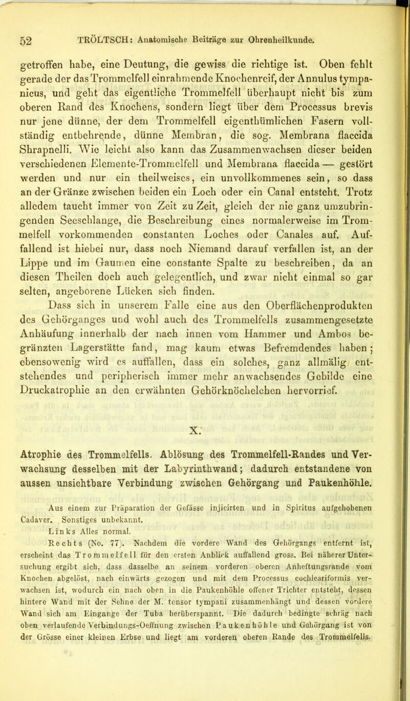 getroffen habe, eine Deutung, die gewiss die richtige ist. Oben fehlt gerade der das Trommelfell einrahmende Knoohenreif, der Annulus tympa- nicus, und geht das eigentliche Trommelfell überhaupt nicht bis zum oberen Rand des Knochens, sondern liegt über dem Processus brevis nur jene dünne, der dem Trommelfell eigenthümlichen Fasern voll- ständig entbehrende, dünne Membran, die sog. Membrana flaccida Shrapnelli. Wie leicht also kann das Zusammenwachsen dieser beiden verschiedenen Elemente-Trommelfell und Membrana flaccida — gestört werden und nur ein theilweises, ein unvollkommenes sein, so dass an der Gränze zwischen beiden ein Loch oder ein Canal entsteht. Trotz alledem taucht immer von Zeit zu Zeit, gleich der nie ganz umzubrin- genden Secschlange, die Beschreibung eines normalerweise im Trom- melfell vorkommenden constanten Loches oder Canales auf. Auf- fallend ist hiebei nur, dass noch Niemand darauf verfallen ist, an der Lippe und im Gaumen eine constante Spalte zu beschreiben, da an diesen Theilen doch auch gelegentlich, und zwar nicht einmal so gar selten, angeborene Lücken sich finden. Dass sich in unserem Falle eine aus den Oberflächenprodukten des Gchörganges und wohl auch des Trommelfells zusammengesetzte Anhäufung innerhalb der nach innen vom Hammer und Ambos bc- gränzten Lagerstätte fand, mag kaum etwas Befremdendes haben; ebensowenig wird es auftallen, dass ein solches, ganz allmälig ent- stehendes und peripherisch immer mehr anwachsendes Gebilde eine Druckatrophie an den erwähnten Gehörknöchelchen hervorrief. X. Atrophie des Trommelfells. Ablösung des Trommelfell-Randes und Ver- wachsung desselben mit der Labyrinthwand; dadurch entstandene von aussen unsichtbare Verbindung zwischen Gehörgang und Paukenhöhle. Aus einem zur Präparation der Gofässc injicirten und in Spiritus aufgehobenen Cadaver. Sonstiges unbekannt. Links Alles normal. Rechts (No. 77). Nachdem die vordere Wand des Geliörgangs entfernt ist, erscheint das Trommelfell für den ersten Anblick auffallend gross. Bei näherer Unter- suchung ergibt sich, dass dasselbe an seinem vorderen oberen Anheftungsrande vom Knochen abgelöst, nach einwärts gezogen und mit dem Processus cochleariformis ver- wachsen ist, wodurch ein nach oben in die Paukenhöhle offener Trichter entsteht, dessen hintere Wand mit der Sehne der M. tensor tympani zusammenhängt und dessen vordere Wand sich am Eingänge der Tuba herüberspannt. Die dadurch bedingte schräg nach oben verlaufende Verbindungs-Oeffnung zwischen Paukenhöhle und Gehörgang ist von der Grösse einer kleinen Erbse und liegt am vorderen oberen Rande des Trommelfells.