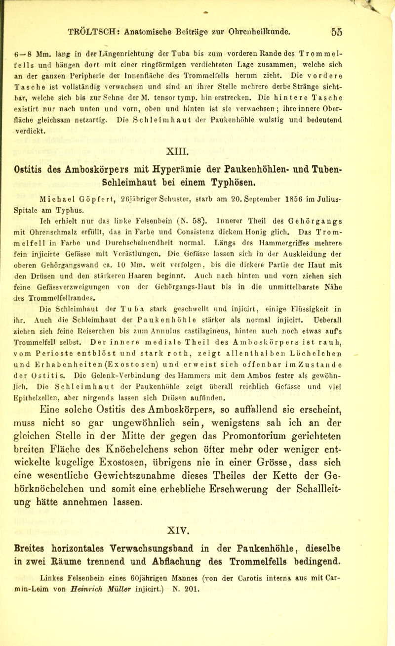 6-'S Mm. lang in der Längenrichtung der Tuba bis zum vorderen Rande des Trommel“ felis und hängen dort mit einer ringförmigen verdichteten Lage zusammen, welche sich an der ganzen Peripherie der Innenfläche des Trommelfells herum zieht. Die vordere Tasche ist vollständig verwachsen und sind an ihrer Stelle mehrere derbe Stränge sicht- bar, welche sich bis zur Sehne der M. tensor tymp. hin erstrecken. Die hintere Tasche existirt nur nach unten und vorn, oben und hinten ist sie verwachsen; ihre innere Ober- fläche gleichsam netzartig. Die Schleimhaut der Paukenhöhle wulstig und bedeutend verdickt. XIII. Ostitis des Amboskörpers mit Hyperämie der Paukenhöhlen- undTuben- Schleimhaut bei einem Typhösen. Michael Göpfert, 26jähriger Schuster, starb am 20. September 1856 im Julius- Spitale am Typhus. Ich erhielt nur das linke Felsenbein (N. 58). Innerer Theil des Gehörgangs mit Ohrenschmalz erfüllt, das in Farbe und Consistenz dickem Honig glich. Das Trom- melfell in Farbe und Durchscheinendheit normal. Längs des Hammergriffes mehrere fein injicirte Gefässe mit Verästlungen. Die Gefässe lassen sich in der Auskleidung der oberen Gehörgangswand ca. 10 Mm. W'eit verfolgen, bis die dickere Partie der Haut mit den Drüsen und den stärkeren Haaren beginnt. Auch nach hinten und vorn ziehen sich feine Gefässverzweigungen von der Gehörgangs-Haut bis in die unmittelbarste Nähe des Trommclfellrandes. Die Schleimhaut der Tuba stark geschwellt und injicirt, einige Flüssigkeit in ihr. Auch die Schleimhaut der Paukenhöhle stärker als normal injicirt. üeberall ziehen sich feine Reiserchen bis zum Anniilus castilagineus, hinten auch noch etwas aufs Trommelfell selbst. Der innere mediale Theil des Amboskörpers ist rauh, vom Perioste entblöst und stark roth, zeigt allenthalben Löchelchen und Erhabenheiten (Exostosen) und erweist sich offenbar imZustande der Ostitis. Die Gelenk-Verbindung des Hammers mit dem Ambos fester als gewöhn- lich. Die Schleimhaut der Paukenhöhle zeigt überall reichlich Gefässe und viel Epithclzellen, aber nirgends lassen sich Drüsen auffinden. E]ine solche Ostitis des Amboskörpers, so auffallend sie erscheint, muss nicht so gar ungewöhnlich sein, wenigstens sah ich an der gleichen Stelle in der Mitte der gegen das Promontorium gerichteten breiten Fläche des Knöchelchens schon öfter mehr oder weniger ent- wickelte kugelige Exostosen, übrigens nie in einer Grösse, dass sich eine wesentliche Gewichtszunahme dieses Theiles der Kette der Ge- hörknöchelchen und somit eine erhebliche Erschwerung der Schallleit- ung hätte annehmen lassen. XIV. Breites horizontales Verwachsungsband in der Paukenhöhle, dieselbe in zwei Eäume trennend und Abflachung des Trommelfells bedingend. Linkes Felsenbein eines 60jährigen Mannes (von der Carotis interna aus mit Car- min-Leim von Heinrich Müller injicirt.) N. 201.