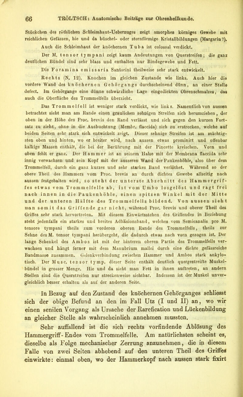 Stückchen des rüthlichen Schleimhaut-Ueberzuges zeigt amorphes körniges Gewebe mit reichlichen Gefässen, hie und da büschel- oder sternförmige Kristallbildungen (Margarin?). Auch die Schleimhaut der knöchernen Tuba ist colossal verdickt. Der M. tensor tympani zeigt kaum Andeutungen von Querstreifen; die ganz deutlichen Bündel sind sehr blass und enthalten nur Bindegewebe und Fett. Die Foramina emissaria Santorini theilweise sehr stark entwickelt. Rechts (N. 12). Knochen im gleichen Zustande wie links. Auch hier die vordere Wand des knöchernen Geliörgangs durchscheinend dünn, an einer Stelle defect. Im Gehörgange eine dünne schwärzliche Lage eingedickten Ohrenschmalzes, das auch die Oberfläche des Trommelfells überzieht. Das Trommelfell ist weniger stark verdickt, wie links. Namentlich von aussen betrachtet sieht man am Rande einen graulichen sehnigen Streifen sich herumziehen , der oben in der Höhe des Proc. brevis den Rand verlässt und sich gegen den kurzen Fort- satz zu zieht, ohne in die Ausbuchtung (Membr. flaccida) sich zu erstrecken, welche auf beiden Seiten sehr stark sich entwickelt zeigt. Dieser sehnige Streifen ist am mächtig- sten oben und hinten, wo er breiter wird, nach aussen etwas prominirt und offenbar kalkige Massen enthält, die bei der Berührung mit der Pincette kreischen. Vorn und oben fehlt er ganz. Der Hammer ist an seinem Halse mit der Membrana flaccida sehr innig verwachsen und sein Kopf mit der äusseren Wand der Paukenhöhle, also über dem Trommelfell, durch ein ganz kurzes und sehr starkes Band verlöthet. Während so der obere Theil des Hammers vom Proc. brevis an durch dichtes Gewebe allseitig nach aussen festgehalten wird, so steht der unterste Abschnitt des Hammergrif- fes etwas vom Trommelfelle ab, ist vom Umbo losgelöst und ragt frei nach innen in die Paukenhöhle, einen spitzen Winkel mit der Mitte und der unteren Hälfte des Trommelfells bildend. Von aussen sieht man somit das Griffende gar nicht, während Proc. brevis und oberer Theil des Griffes sehr stark hervortreten. Mit diesem Einwärtsstehen des Griffendes in Beziehung steht jedenfalls ein starkes und breites Adhäsionsband, welches vom Semicanalis pro M. tensore tympani theils zum vorderen oberen Rande des Trommelfells, theils zur Sehne des M. tensor tympani herübergeht, die dadurch etwas nach vorn gezogen ist. Der lange Schenkel des Ambos ist mit der hinteren oberen Partie des Trommelfells ver- wachsen und hängt ferner mit dem Manubrium mallci durch eine dichte gefässreiche Bandmasse zusammen. Gelenkverbindung zwischen Hammer und Ambos stark ankylo- tisch. Der Muse, tensor tymp. dieser Seite enthält deutlich quergestreifte Muskel- bündel in grosser Menge. Hie und da sieht man Fett in ihnen auftreten, an andern Stellen sind die Querstreifen nur streckenweise sichtbar. Indessen ist der Muskel unver- gleichlich besser erhalten als auf der anderen Seite. In Bezug auf den Zustand des knöchernen Gehörganges schllesst sich der obige Befund an den im Fall Utz (I und II) an, wo wir einen senilen Vorgang als Ursache der Rarefication und Lückenbildung an gleicher Stelle als wahrscheinlich annehmen mussten. Sehr auffallend ist die sich rechts vorfindende Ablösung des Hammergriff-Endes vom Trommelfelle. Am natürlichsten scheint es, dieselbe als Folge mechanischer Zerrung anzunehmen, die in diesem Falle von zwei Seiten abhebend auf den unteren Theil des Griffes einwirkte: einmal oben, wo der Hammerkopf nach aussen stark fixirt