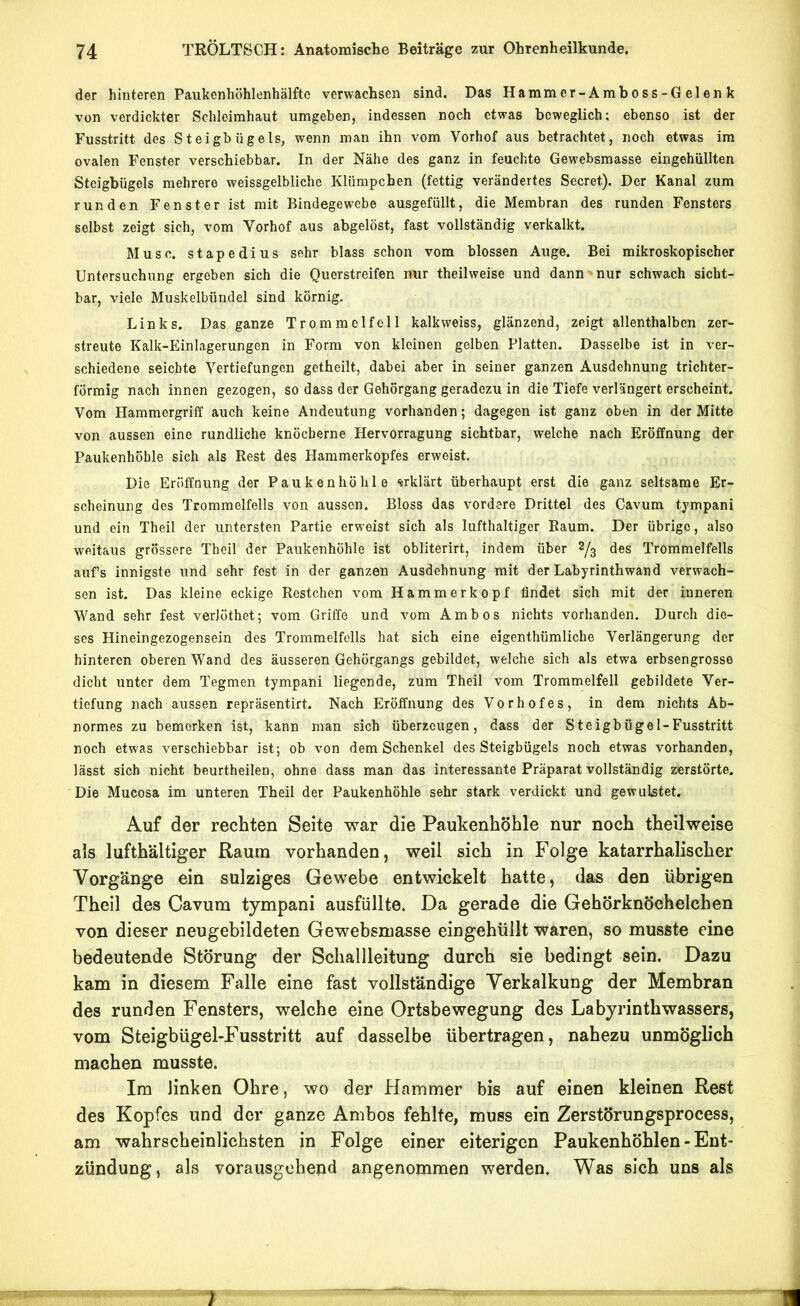 der hinteren Paukenhöhlenhälfte verwachsen sind. Das Hammer-Amboss-G eien k von verdickter Schleimhaut umgeben, indessen noch etwas beweglich; ebenso ist der Fusstritt des Steigbügels, wenn man ihn vom Vorhof aus betrachtet, noch etwas im ovalen Fenster verschiebbar. In der Nähe des ganz in feuchte Gewebsmasse eingehüllten Steigbügels mehrere weissgelbliche Klümpchen (fettig verändertes Secret). Der Kanal zum runden Fenster ist mit Bindegewebe ausgefüllt, die Membran des runden Fensters selbst zeigt sich, vom Vorhof aus abgelöst, fast vollständig verkalkt. Muse, stapedius sehr blass schon vom blossen Auge. Bei mikroskopischer Untersuchung ergeben sich die Querstreifen nur theilweise und dann nur schwach sicht- bar, viele Muskelbündel sind körnig. Links. Das ganze Trommelfell kalkweiss, glänzend, zeigt allenthalben zer- streute Kalk-Einlagerungen in Form von kleinen gelben Platten. Dasselbe ist in ver- schiedene seichte Vertiefungen getheilt, dabei aber in seiner ganzen Ausdehnung trichter- förmig nach innen gezogen, so dass der Gehörgang geradezu in die Tiefe verlängert erscheint. Vom Hammergriff auch keine Andeutung vorhanden; dagegen ist ganz oben in der Mitte von aussen eine rundliche knöcherne Hervorragung sichtbar, welche nach Eröffnung der Paukenhöhle sich als Rest des Hammerkopfes erweist. Die Eröffnung der Paukenhöhle erklärt überhaupt erst die ganz seltsame Er- scheinung des Trommelfells von aussen. Bloss das vordere Drittel des Cavum tympani und ein Theil der untersten Partie erweist sich als lufthaltiger Raum. Der übrige, also weitaus grössere Theil der Paukenhöhle ist obliterirt, indem über 2/g des Trommelfells aufs innigste und sehr fest in der ganzen Ausdehnung mit der Labyrinthwand verwach- sen ist. Das kleine eckige Restchen vom Hammerkopf findet sich mit der inneren Wand sehr fest verJöthet; vom Griffe und vom Ambos nichts vorhanden. Durch die- ses Hineingezogensein des Trommelfells hat sich eine eigenthümliche Verlängerung der hinteren oberen Wand des äusseren Gehörgangs gebildet, welche sich als etwa erbsengrosse dicht unter dem Tegmen tympani liegende, zum Theil vom Trommelfell gebildete Ver- tiefung nach aussen repräsentirt. Nach Eröffnung des Vorhofes, in dem nichts Ab- normes zu bemerken ist, kann man sich überzeugen, dass der Steigbügel-Fusstritt noch etwas verschiebbar ist; ob von dem Schenkel des Steigbügels noch etwas vorhanden, lässt sich nicht beurtheilen, ohne dass man das interessante Präparat vollständig zerstörte. Die Mucosa im unteren Theil der Paukenhöhle sehr stark verdickt und gewulstet. Auf der rechten Seite war die Paukenhöhle nur noch theilweise als lufthaltiger Raum vorhanden, weil sich in Folge katarrhalischer Vorgänge ein sulziges Gewebe entwickelt hatte, das den übrigen Theil des Cavum tympani ausfüllte. Da gerade die Gehörknöchelchen von dieser neugebildeten Gewebsmasse eingehüllt waren, so musste eine bedeutende Störung der Schallleitung durch sie bedingt sein. Dazu kam in diesem Falle eine fast vollständige Verkalkung der Membran des runden Fensters, welche eine Ortsbewegung des Labyrinthwassers, vom Steigbügel-Fusstritt auf dasselbe übertragen, nahezu unmöglich machen musste. Im linken Ohre, wo der Hammer bis auf einen kleinen Rest des Kopfes und der ganze Ambos fehlte, muss ein Zerstörungsprocess, am wahrscheinlichsten in Folge einer eiterigen Paukenhöhlen - Ent- zündung, als vorausgehend angenommen werden. Was sich uns als