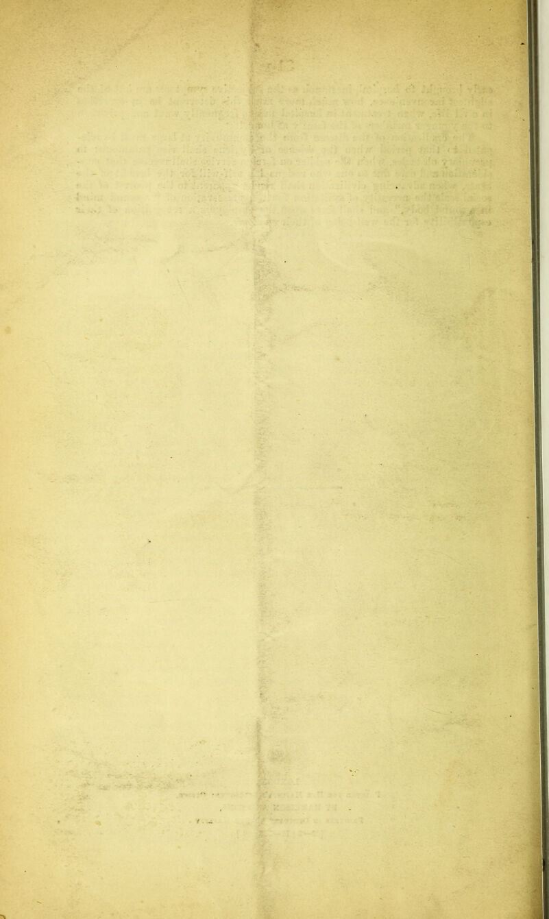 -yj,- : ?*: ' > ■ * ' V ' . * A' p’ * . •V . ' > V • : ?'-r. •j. - - V? ;v. •< ■ : •>