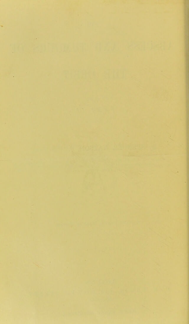 digitised image 2