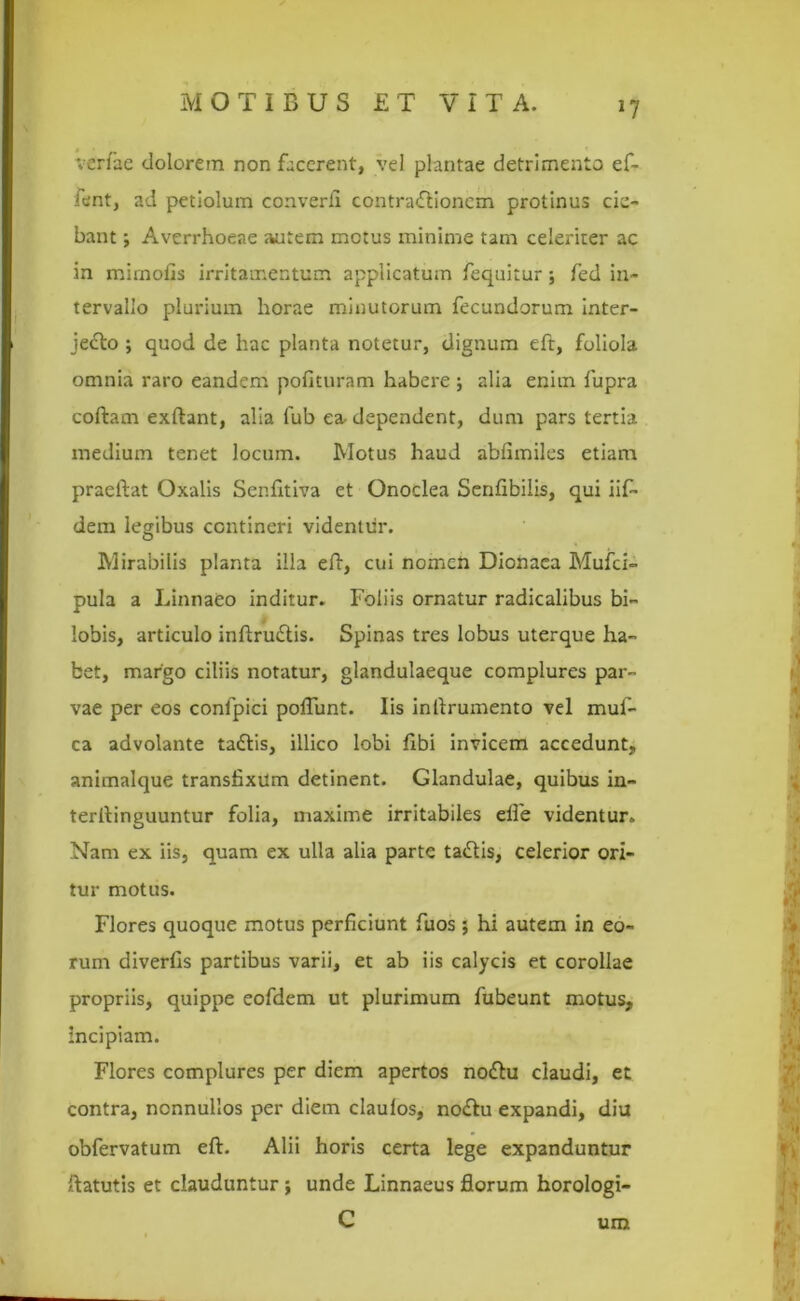 verfae dolorem non facerent, vel plantae detrimento ef- fent, ad petiolum converli contraflionem protinus cie- bant ; Averrhoeae autem metus minime tam celeriter ac in mimofis irritamentum applicatum fequitur; fed in- tervallo plurium horae minutorum fecundorum inter- jedto ; quod de hac planta notetur, dignum eft, foliola omnia raro eandem polituram habere ; alia enim fupra coftam exftant, alia fub e& dependent, dum pars tertia medium tenet locum. Motus haud abliiniles etiam praeftat Oxalis Ser.fitiva et Onoclea Senlibilis, qui iif- dem legibus contineri videntur. Mirabilis planta illa eft, cui nomen Dionaea Mufci- pula a Linnaeo inditur. Foliis ornatur radicalibus bi- lobis, articulo inftruftis. Spinas tres lobus uterque ha- bet, margo ciliis notatur, glandulaeque complures par- vae per eos conlpici poliunt. Iis inftrumento vel mul- ca advolante tadtis, illico lobi ftbi invicem accedunt, animalque transfixum detinent. Glandulae, quibus in- terftinguuntur folia, maxime irritabiles eife videntur. Nam ex iis, quam ex ulla alia parte tatftis, celerior ori- tur motus. Flores quoque motus perficiunt fuos; hi autem in eo- rum diverfis partibus varii, et ab iis calycis et corollae propriis, quippe eofdem ut plurimum fubeunt motus, incipiam. Flores complures per diem apertos no<ftu claudi, et contra, nonnullos per diem claulos, no£tu expandi, diu obfervatum eft. Alii horis certa lege expanduntur ftatutis et clauduntur ; unde Linnaeus florum horologi- C um