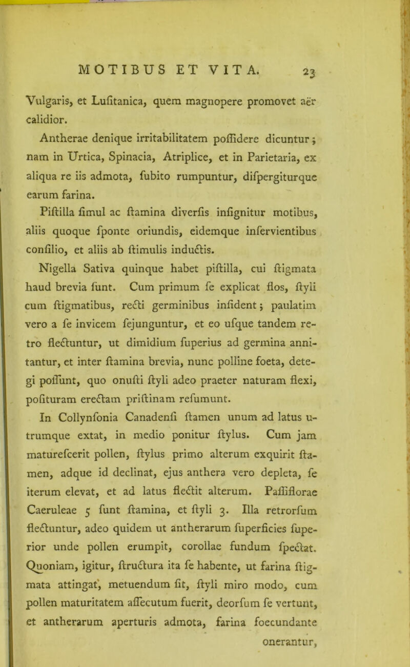 Vulgaris, et Lufitanica, quem magnopere promovet a£r calidior. Antherae denique irritabilitatem poffidere dicuntur; nam in Urtica, Spinacia, Atriplice, et in Parietaria, ex aliqua re iis admota, fubito rumpuntur, difpergiturque earum farina. Piftilla fimul ac ftamina diverfis infignitur motibus, aliis quoque fponte oriundis, eidemque infervientibus confilio, et aliis ab ftimulis indudtis. Nigella Sativa quinque habet piftilla, cui ftigmata haud brevia funt. Cum primum fe explicat flos, ftyli cum ftigmatibus, recti germinibus infident; paulatim vero a fe invicem fej unguntur, et eo ufque tandem re- tro fledhmtur, ut dimidium fuperius ad germina anni- tantur, et inter ftamina brevia, nunc polline foeta, dete- gi poliunt, quo onufti ftyli adeo praeter naturam flexi, polituram eredtam priftinam refumunt. In Collynfonia Canadenli ftamen unum ad latus u- trumque extat, in medio ponitur ftylus. Cum jam maturefcerit pollen, ftylus primo alterum exquirit fta- men, adque id declinat, ejus anthera vero depleta, fe iterum elevat, et ad latus fledtit alterum. Pafllflorae Caeruleae 5 funt ftamina, et ftyli 3. Illa retrorfum fledluntur, adeo quidem ut antherarum fuperficies fupe- rior unde pollen erumpit, corollae fundum fpedlat. Quoniam, igitur, ftrudtura ita fe habente, ut farina ftig- mata attingat, metuendum fit, ftyli miro modo, cum pollen maturitatem aflecutum fuerit, deorfum fe vertunt, et antherarum aperturis admota, farina foecundante onerantur,