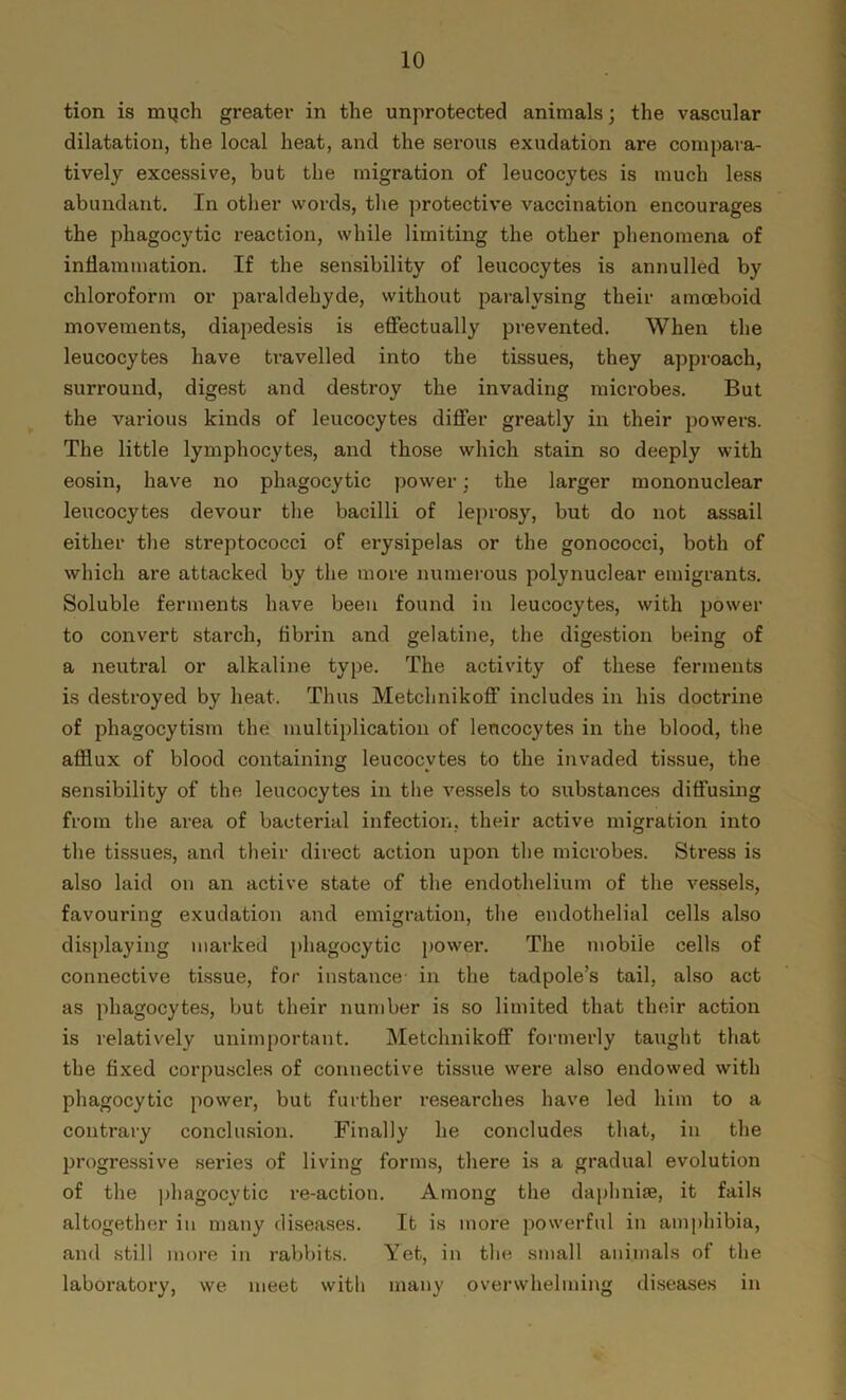 tion is mijch greater in the unprotected animals; the vascular dilatation, the local heat, and the serous exudation are compara- tively excessive, but the migration of leucocytes is much less abundant. In other words, the protective vaccination encourages the phagocytic reaction, while limiting the other phenomena of inflammation. If the sensibility of leucocytes is annulled by chloroform or paraldehyde, without paralysing their amoeboid movements, diapedesis is effectually prevented. When the leucocytes have travelled into the tissues, they approach, surround, digest and destroy the invading microbes. But the various kinds of leucocytes differ greatly in their powers. The little lymphocytes, and those which stain so deeply with eosin, have no phagocytic power; the larger mononuclear leucocytes devour the bacilli of leprosy, but do not assail either the streptococci of erysipelas or the gonococci, both of which are attacked by the more numerous polynuclear emigrants. Soluble ferments have been found in leucocytes, with power to convert starch, fibrin and gelatine, the digestion being of a neutral or alkaline type. The activity of these ferments is destroyed by heat. Thus Metchnikoff includes in his doctrine of phagocytism the multiplication of leucocytes in the blood, the afflux of blood containing leucocytes to the invaded tissue, the sensibility of the leucocytes in the vessels to substances diffusing from the area of bacterial infection, their active migration into the tissues, and their direct action upon the microbes. Stress is also laid on an active state of the endothelium of the vessels, favouring exudation and emigration, the endothelial cells also displaying marked phagocytic power. The mobile cells of connective tissue, for instance in the tadpole’s tail, also act as phagocytes, but their number is so limited that their action is relatively unimportant. Metchnikoff formerly taught that the fixed corpuscles of connective tissue were also endowed with phagocytic power, but further researches have led him to a contrary conclusion. Finally he concludes that, in the progressive series of living forms, there is a gradual evolution of the phagocytic re-action. Among the daphnise, it fails altogether in many diseases. It is more powerful in amphibia, and still more in rabbits. Yet, in the small animals of the laboratory, we meet with many overwhelming diseases in