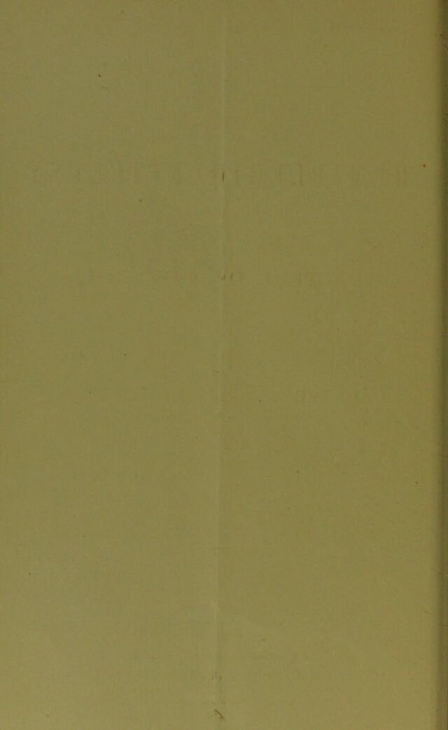 digitised image 2