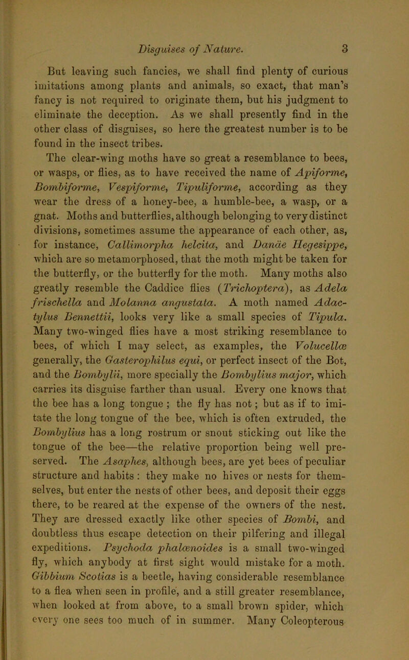 But leaving such fancies, we shall find plenty of curious imitations among plants and animals, so exact, that man’s fancy is not required to originate them, but his judgment to eliminate the deception. As we shall presently find in the other class of disguises, so here the greatest number is to be found in the insect tribes. The clear-wing moths have so great a resemblance to bees, or wasps, or flies, as to have received the name of Apiforme, Bombiforme, Vespiforme, Tipuliforme, according as they wear the dress of a honey-bee, a humble-bee, a wasp, or a gnat. Moths and butterflies, although belonging to very distinct divisions, sometimes assume the appearance of each other, as, for instance, Callimorpha helcita, and Dande Ilegesippe, which are so metamorphosed, that the moth might be taken for the butterfly, or the butterfly for the moth. Many moths also greatly resemble the Caddice flies {Trichoptera), as Adela frischella and Molanna angustata. A moth named Adac- tylus Bennettii, looks very like a small species of Tipula. Many two-winged flies have a most striking resemblance to bees, of which I may select, as examples, the Volucellce generally, the Gasterophilus equi, or perfect insect of the Bot, and the Bombylii, more specially the Bombylius major, which carries its disguise farther than usual. Every one knows that the bee has a long tongue ; the fly has not; but as if to imi- tate the long tongue of the bee, which is often extruded, the Bombylius has a long rostrum or snout sticking out like the tongue of the bee—the relative proportion being well pre- served. The Asaphes, although bees, are yet bees of peculiar structure and habits : they make no hives or nests for them- selves, but enter the nests of other bees, and deposit their eggs there, to be reared at the expense of the owners of the nest. They are dressed exactly like other species of Bombi, and doubtless thus escape detection on their pilfering and illegal expeditions. Fsychoda phalcenoules is a small two-winged fly, which anybody at first sight would mistake for a moth. Gibbium Scotias is a beetle, having considerable resemblance to a flea when seen in profile, and a still greater resemblance, when looked at from above, to a small brown spider, which every one sees too much of in summer. Many Coleopterous