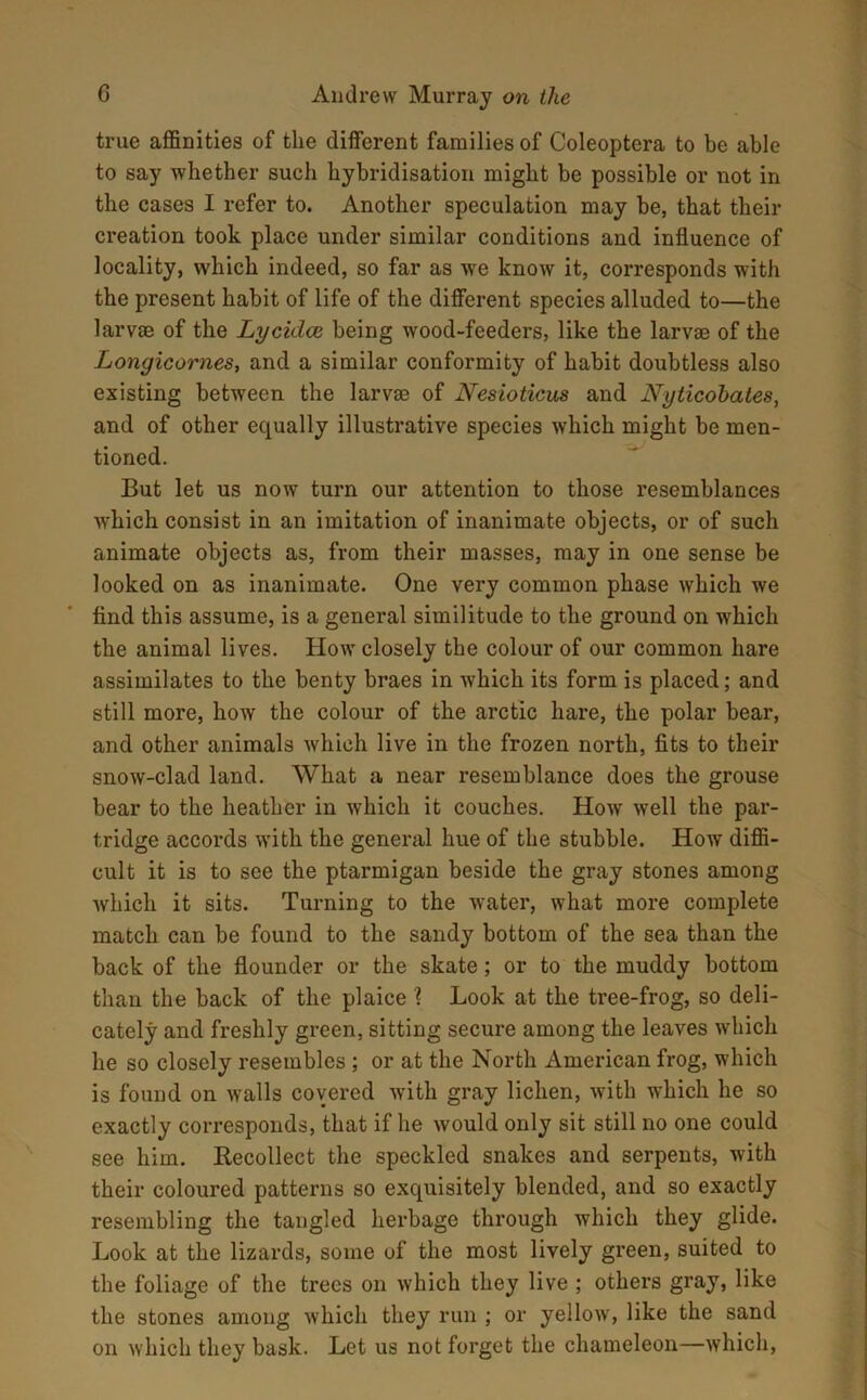 true affinities of the different families of Coleoptera to be able to say whether such hybridisation might be possible or not in the cases I refer to. Another speculation may be, that their creation took place under similar conditions and influence of locality, which indeed, so far as we know it, corresponds with the present habit of life of the different species alluded to—the larvae of the Lyciclce being wood-feeders, like the larvae of the Longicornes, and a similar conformity of habit doubtless also existing between the larvae of Nesioticus and Nyticohates, and of other equally illustrative species which might be men- tioned. But let us now turn our attention to those resemblances which consist in an imitation of inanimate objects, or of such animate objects as, from their masses, may in one sense be looked on as inanimate. One very common phase which we find this assume, is a general similitude to the ground on which the animal lives. How closely the colour of our common hare assimilates to the benty braes in which its form is placed; and still more, how the colour of the arctic hare, the polar bear, and other animals which live in the frozen north, fits to their snow-clad land. What a near resemblance does the grouse bear to the heather in which it couches. How well the par- tridge accords with the general hue of the stubble. How diffi- cult it is to see the ptarmigan beside the gray stones among which it sits. Turning to the water, what more complete match can be found to the sandy bottom of the sea than the back of the flounder or the skate; or to the muddy bottom than the back of the plaice ? Look at the tree-frog, so deli- cately and freshly green, sitting secure among the leaves which he so closely resembles ; or at the North American frog, which is found on walls covered with gray lichen, with which he so exactly corresponds, that if lie would only sit still no one could see him. Recollect the speckled snakes and serpents, with their coloured patterns so exquisitely blended, and so exactly resembling the tangled herbage through which they glide. Look at the lizards, some of the most lively green, suited to the foliage of the trees on which they live ; others gray, like the stones among which they run ; or yellow, like the sand on which they bask. Let us not forget the chameleon—which,