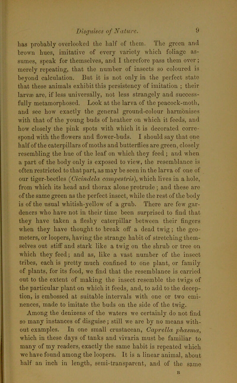 lias probably overlooked the half of them. The green and brown hues, imitative of every variety which foliage as- sumes, speak for themselves, and I therefore pass them over; merely repeating, that the number of insects so coloured is beyond calculation. But it is not only in the perfect state that these animals exhibit this persistency of imitation ; their larvse are, if less universally, not less strangely and success- fully metamorphosed. Look at the larva of the peacock-moth, and see how exactly the general ground-colour harmonises with that of the young buds of heather on which it feeds, and how closely the pink spots with which it is decorated corre- spond with the flowers and flower-buds. I should say that one half of the caterpillars of moths and butterflies are green, closely resembling the hue of the leaf on which they feed ; and when a part of the body only is exposed to view, the resemblance is often restricted to that part, as may be seen in the larva of one of our tiger-beetles (Cicindela campestris), which lives in a hole, from which its head and thorax alone protrude; and these are of the same green as the perfect insect, while the rest of the body is of the usual whitish-yellow of a grub. There are few gar- deners who have not in their time been surprised to find that they have taken a fleshy caterpillar between their fingers when they have thought to break off a dead twig; the geo- meters, or loopers, having the strange habit of stretching them- selves out stiff and stark like a twig on the shrub or tree on which they feed; and as, like a vast number of the insect tribes, each is pretty much confined to one plant, or family of plants, for its food, we find that the resemblance is carried out to the extent of making the insect resemble the twigs of the particular plant on which it feeds, and, to add to the decep- tion, is embossed at suitable intervals with one or two emi- nences, made to imitate the buds on the side of the twig. Among the denizens of the waters we certainly do not find so many instances of disguise; still we are by no means with- out examples. In one small crustacean, Caprella pJiasma, which in these days of tanks and vivaria must be familiar to many of my readers, exactly the same habit is repeated which we have found among the loopers. It is a linear animal, about half an inch in length, semi-transparent, and of the same B