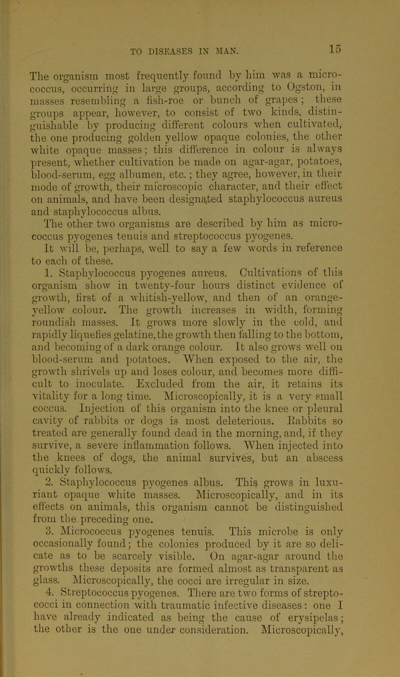 The organism most frequently found by him was a micro- coccus, occurring in large groups, according to Ogston, in masses resembling a fish-roe or bunch of grapes ; these groups appear, however, to consist of two kinds, distin- guishable by producing different colours when cultivated, the one producing golden yellow opaque colonies, the other white opaque masses; this difference in colour is always present, whether cultivation be made on agar-agar, potatoes, blood-serum, egg albumen, etc.; they agree, however, in their mode of growth, their microscopic character, and their effect on animals, and have been designated staphylococcus aureus and staphylococcus albus. The other two organisms are described by him as micro- coccus pyogenes tenuis and streptococcus pyogenes. It will be, perhaps, well to say a few words in reference to each of these. 1. Staphylococcus pyogenes aureus. Cultivations of this organism show in twenty-four hours distinct evidence of growth, first of a whitish-yellow, and then of an orange- yellow colour. The growth increases in width, forming roundish masses. It grows more slowly in the cold, and rapidly liquefies gelatine,the growth then falling to the bottom, and becoming of a dark orange colour. It also grows well on blood-serum and potatoes. When exposed to the air, the growth shrivels up and loses colour, and becomes more diffi- cult to inoculate. Excluded from the air, it retains its vitality for a long time. Microscopically, it is a very small coccus. Injection of this organism into the knee or pleural cavity of rabbits or dogs is most deleterious. Rabbits so treated are generally found dead in the morning, and, if they survive, a severe inflammation follows. When injected into the knees of dogs, the animal survives, but an abscess quickly follows. 2. Staphylococcus pyogenes albus. This grows in luxu- riant opaque white masses. Microscopically, and in its effects on animals, this organism cannot be distinguished from the preceding one. 3. Micrococcus pyogenes tenuis. This microbe is only occasionally found; the colonies produced by it are so deli- cate as to be scarcely visible. On agar-agar around the growths these deposits are formed almost as transparent as glass. Microscopically, the cocci are irregular in size. 4. Streptococcus pyogenes. There are two forms of strepto- cocci in connection with traumatic infective diseases: one I have already indicated as being the cause of erysipelas; the other is the oue under consideration. Microscopically,