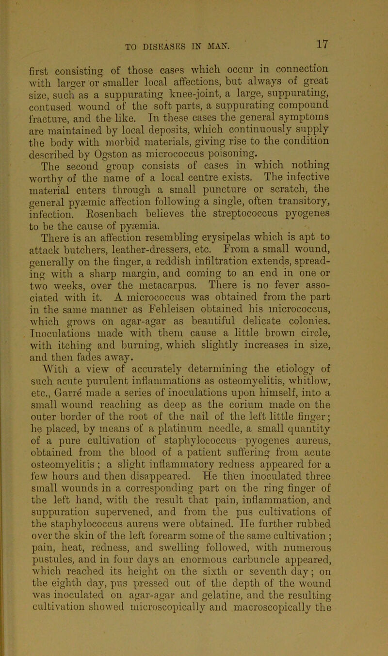 first consisting of those cases which occur in connection with larger or smaller local affections, but always of great size, such as a suppurating knee-joint, a large, suppurating, contused wound of the soft parts, a suppurating compound fracture, and the like. In these cases the general symptoms are maintained by local deposits, which continuously supply the body with morbid materials, giving rise to the condition described by Ogston as micrococcus poisoning. The second group consists of cases in which nothing worthy of the name of a local centre exists. The infective material enters through a small puncture or scratch, the general pysemic affection following a single, often transitory, infection. Rosenbach believes the streptococcus pyogenes to be the cause of pytemia. There is an affection resembling erysipelas which is apt to attack butchers, leather-dressers, etc. From a small wound, generally on the finger, a reddish infiltration extends, spread- ing with a sharp margin, and coming to an end in one or two weeks, over the metacarpus. There is no fever asso- ciated with it. A micrococcus was obtained from the part in the same manner as Fehleisen obtained his micrococcus, which grows on agar-agar as beautiful delicate colonies. Inoculations made with them cause a little brown circle, with itching and burning, which slightly increases in size, and then fades away. With a view of accurately determining the etiology of such acute purulent inflammations as osteomyelitis, whitlow, etc., Garre made a series of inoculations upon himself, into a small wound reaching as deep as the corium made on the outer border of the root of the nail of the left little finger; he placed, by means of a platinum needle, a small quantity of a pure cultivation of staphylococcus pyogenes aureus, obtained from the blood of a patient suffering from acute osteomyelitis ; a slight inflammatory redness appeared for a few hours and then disappeared. He then inoculated three small wounds in a corresponding part on the ring finger of the left hand, with the result that pain, inflammation, and suppuration supervened, and from the pus cultivations of the staphylococcus aureus were obtained. He further rubbed over the skin of the left forearm some of the same cultivation ; pain, heat, redness, and swelling followed, with numerous pustules, and in four days an enormous carbuncle appeared, which reached its height on the sixth or seventh day; on the eighth day, pus pressed out of the depth of the wound was inoculated on agar-agar and gelatine, and the resulting cultivation showed microscopically and macroscopically the