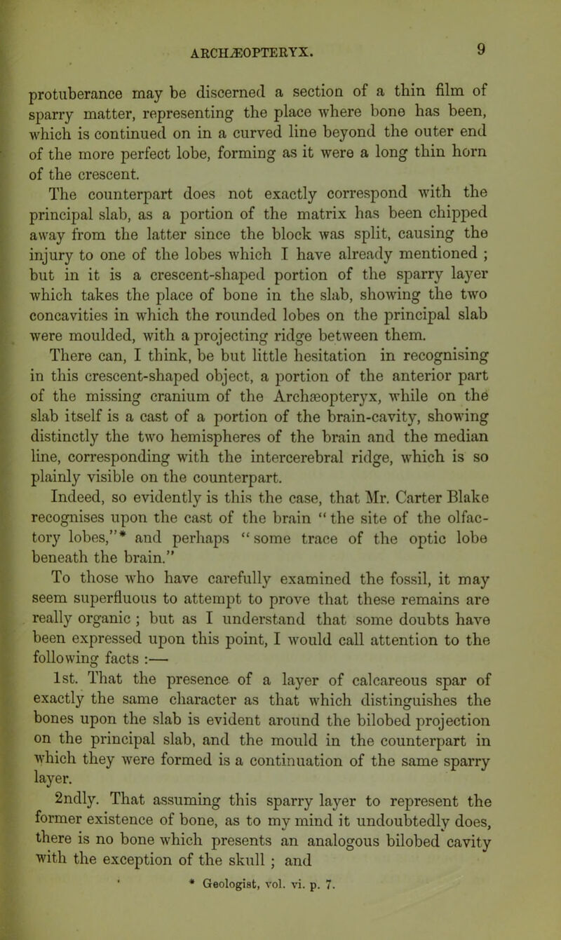 protuberance may be discerned a section of a thin film of sparry matter, representing the place where bone has been, which is continued on in a curved line beyond the outer end of the more perfect lobe, forming as it were a long thin horn of the crescent. The counterpart does not exactly correspond with the principal slab, as a portion of the matrix has been chipped away from the latter since the block was split, causing the injury to one of the lobes which I have already mentioned ; but in it is a crescent-shaped portion of the sparry layer which takes the place of bone in the slab, showing the two concavities in which the rounded lobes on the principal slab were moulded, with a projecting ridge between them. There can, I think, be but little hesitation in recognising in this crescent-shaped object, a portion of the anterior part of the missing cranium of the Archaeopteryx, while on the slab itself is a cast of a portion of the brain-cavity, showing distinctly the two hemispheres of the brain and the median line, corresponding with the intercerebral ridge, which is so plainly visible on the counterpart. Indeed, so evidently is this the case, that Mr. Carter Blake recognises upon the cast of the brain “ the site of the olfac- tory lobes,’’* and perhaps “some trace of the optic lobe beneath the brain.” To those who have carefully examined the fossil, it may seem superfluous to attempt to prove that these remains are really organic ; but as I understand that some doubts have been expressed upon this point, I would call attention to the following facts :— 1st. That the presence of a layer of calcareous spar of exactly the same character as that which distinguishes the bones upon the slab is evident around the bilobed projection on the principal slab, and the mould in the counterpart in which they were formed is a continuation of the same sparry layer. 2ndly. That assuming this sparry layer to represent the former existence of bone, as to my mind it undoubtedly does, there is no bone which presents an analogous bilobed cavity with the exception of the skull ; and * Geologist, vol. vi. p. 7.
