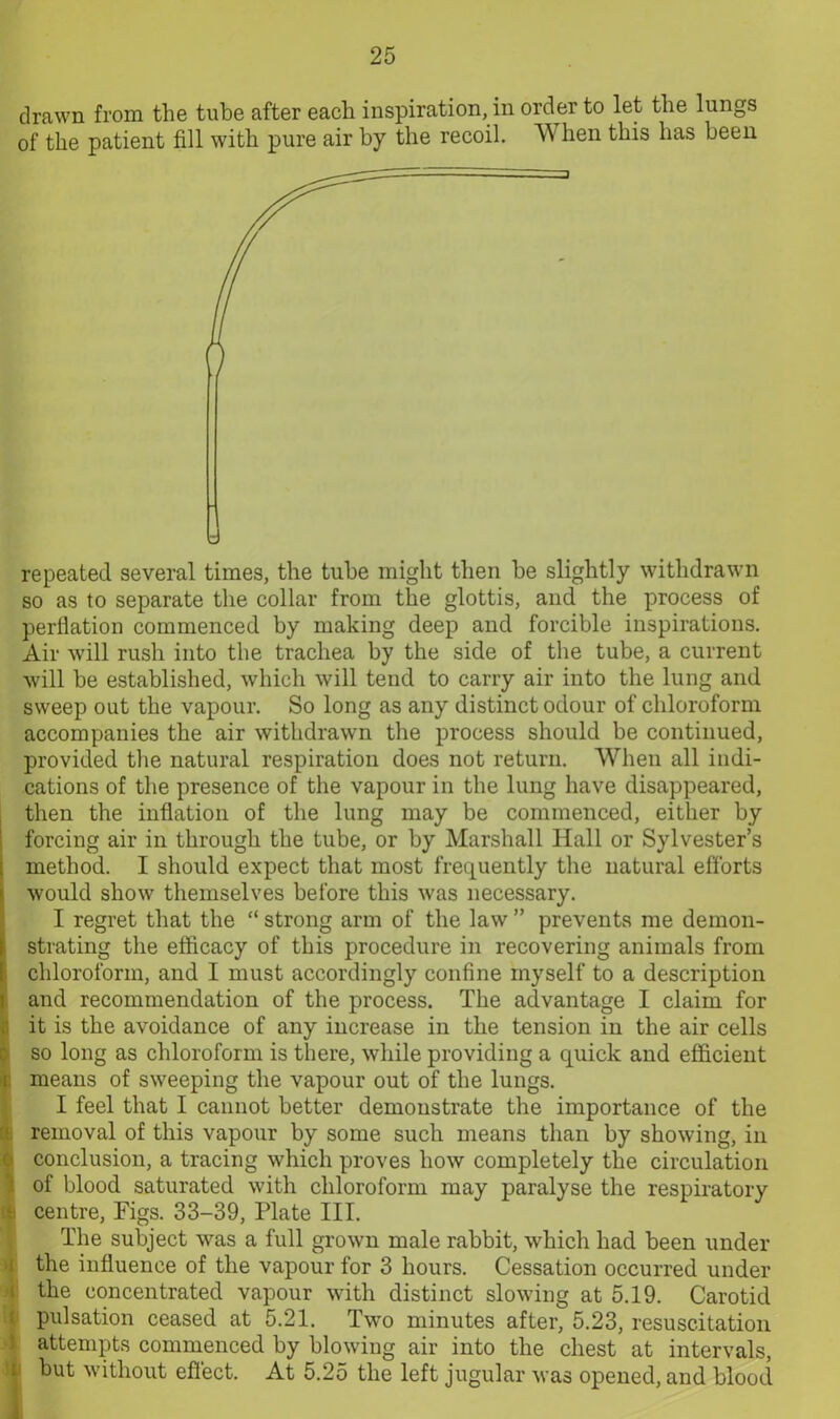 drawn from the tube after each inspiration, in order to let the lungs of the patient fill with pure air by the recoil. W hen this has been repeated several times, the tube might then be slightly withdrawn so as to separate the collar from the glottis, and the process of perflation commenced by making deep and forcible inspirations. Air will rush into the trachea by the side of the tube, a current will be established, which will tend to carry air into the lung and sweep out the vapour. So long as any distinct odour of chloroform accompanies the air withdrawn the process should be continued, provided the natural respiration does not return. When all indi- cations of the presence of the vapour in the lung have disappeared, then the inflation of the lung may be commenced, either by forcing air in through the tube, or by Marshall Hall or Sylvester’s method. I should expect that most frequently the natural efforts would show themselves before this was necessary. I regret that the “ strong arm of the law ” prevents me demon- strating the efficacy of this procedure in recovering animals from chloroform, and I must accordingly confine myself to a description and recommendation of the process. The advantage I claim for it is the avoidance of any increase in the tension in the air cells so long as chloroform is there, while providing a quick and efficient means of sweeping the vapour out of the lungs. I feel that I cannot better demonstrate the importance of the removal of this vapour by some such means than by showing, in conclusion, a tracing which proves how completely the circulation of blood saturated with chloroform may paralyse the respiratory centre, Figs. 33-39, Plate III. The subject was a full grown male rabbit, which had been under the influence of the vapour for 3 hours. Cessation occurred under the concentrated vapour with distinct slowing at 5.19. Carotid 1 pulsation ceased at 5.21. Two minutes after, 5.23, resuscitation attempts commenced by blowing air into the chest at intervals, but without effect. At 5.25 the left jugular was opened, and blood