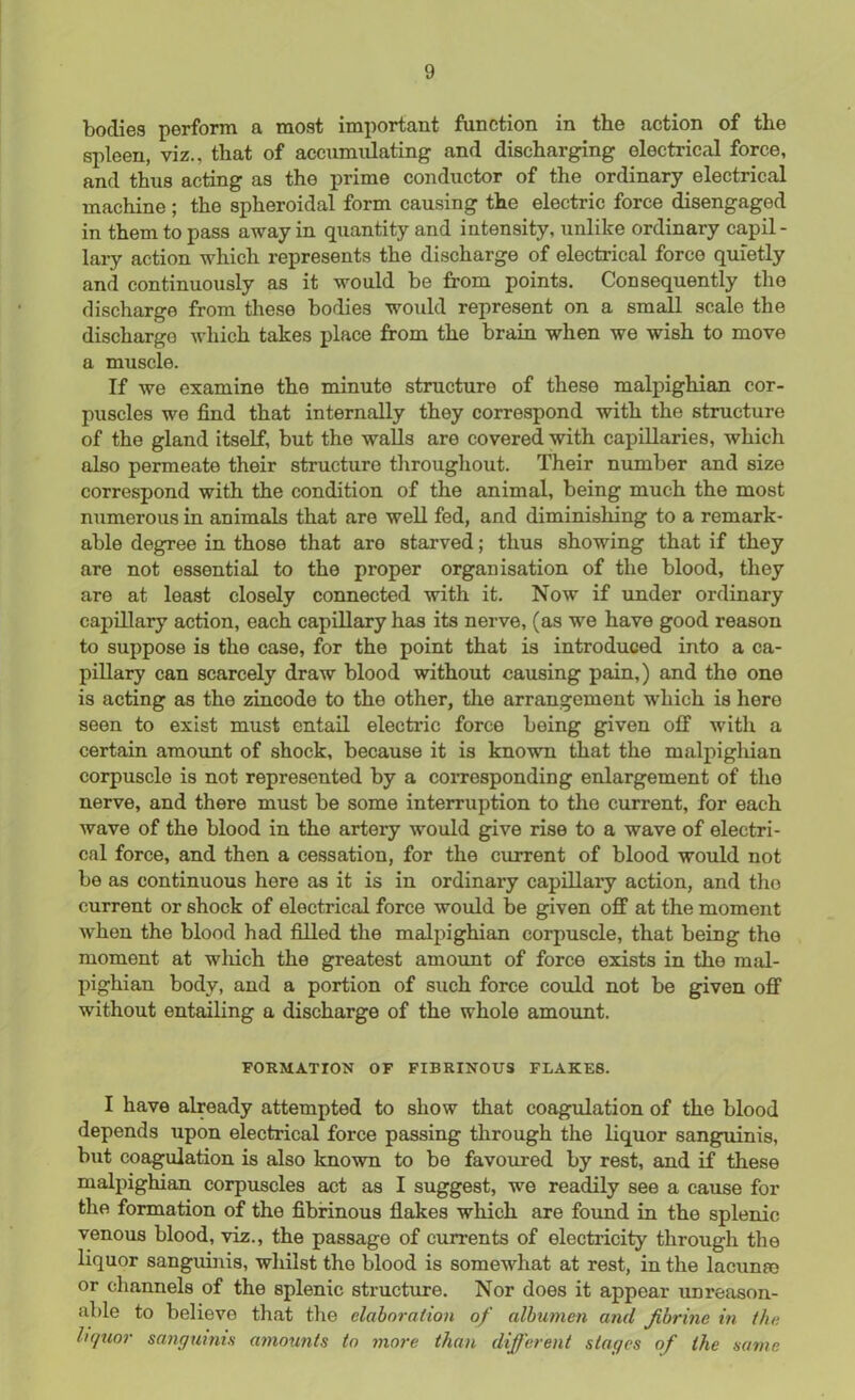 bodies perform a most important function in the action of the spleen, viz., that of accumulating and discharging electrical force, and thus acting as the prime conductor of the ordinary electrical machine ; the spheroidal form causing the electric force disengaged in them to pass away in quantity and intensity, unlike ordinary capil- lary action which represents the discharge of electrical force quietly and continuously as it would be from points. Consequently the discharge from these bodies would represent on a small scale the discharge which takes place from the brain when we wish to move a muscle. If we examine the minute structure of these malpighian cor- puscles we find that internally they correspond with the structure of the gland itself, but the walls are covered with capillaries, which also permeate their structure throughout. Their number and size correspond with the condition of the animal, being much the most numerous in animals that are well fed, and diminishing to a remark- able degree in those that are starved; thus showing that if they are not essential to the proper organisation of the blood, they are at least closely connected with it. Now if under ordinary capillary action, each capillary has its nerve, (as we have good reason to suppose is the case, for the point that is introduced into a ca- pillary can scarcely draw blood without causing pain,) and the one is acting as the zincodo to the other, the arrangement which is hero seen to exist must entail electric force being given off with a certain amount of shock, because it is known that the malpighian corpuscle is not represented by a corresponding enlargement of tho nerve, and there must be some interruption to the current, for each wave of the blood in the artery would give rise to a wave of electri- cal force, and then a cessation, for the current of blood would not be as continuous here as it is in ordinary capillary action, and the current or shock of electrical force would be given off at the moment when the blood had filled the malpighian corpuscle, that being the moment at which the greatest amount of force exists in the mal- pighian body, and a portion of such force could not be given off without entailing a discharge of the whole amount. FORMATION OF FIBRINOUS FLAKES. I have already attempted to show that coagulation of the blood depends upon electrical force passing through the liquor sanguinis, but coagulation is also known to be favoured by rest, and if these malpighian corpuscles act as I suggest, we readily see a cause for the formation of the fibrinous flakes which are found in the splenic venous blood, viz., the passage of currents of electricity through the liquor sanguinis, whilst the blood is somewhat at rest, in the lacuna? or channels of the splenic structure. Nor does it appear unreason- able to believe that the elaboration of albumen and jibrine in the liquor sanguinis amounts to more than different stages of the same