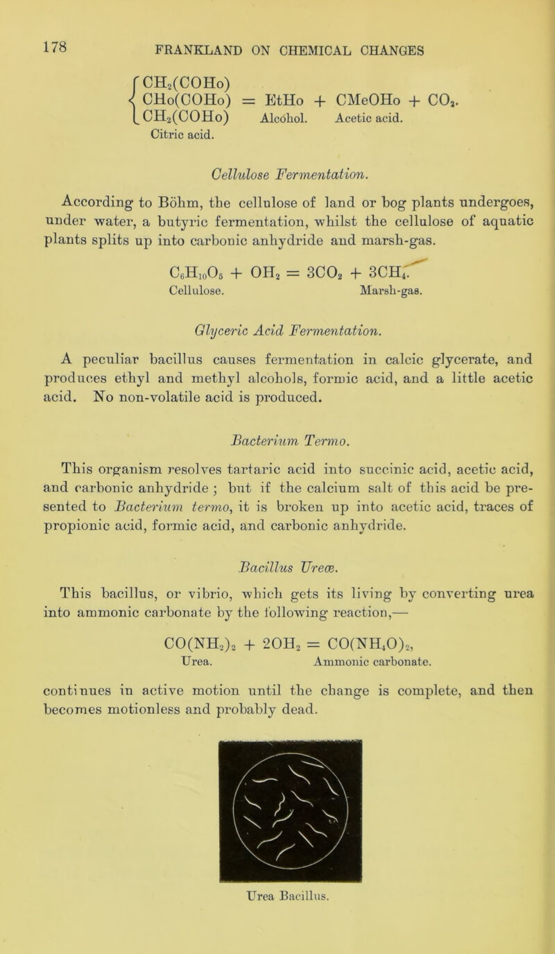 rCH^CCOHo) CHo(GOHo) = EtHo + CMeOHo + CO,. |^CH2(COHo) AlcoRol. Acetic acid. Citric acid. Cellulose Fermentation. According to Bolim, the cellulose of land or bog plants -undergoes, under -water, a butyric fermentation, whilst the cellulose of aquatic plants splits up into carbonic anhydride and marsh-gas. C„H,o05 + OH, = 3CO, + 3CH4.^ Cellulose. Marsh-gas. Glyceric Acid Fermentation. A peculiar bacillus causes fermentation in calcic glycerate, and produces ethyl and methyl alcohols, formic acid, and a little acetic acid. No non-volatile acid is produced. Bacterium Termo. This organism resolves tartaric acid into succinic acid, acetic acid, and carbonic anhydride ; but if the calcium salt of this acid be pre- sented to Bacterium termo, it is broken up into acetic acid, traces of propionic acid, formic acid, and carbonic anhydride. Bacillus Urece. This bacillus, or vibrio, which gets its living by converting urea into ammonic carbonate by the i'ollowing reaction,— C0(NH,)2 -f 20H, = C0(NH40)„ Urea. Ammonic carbonate. continues in active motion until the change is complete, and then becomes motionless and probably dead. Urea Bacillus.