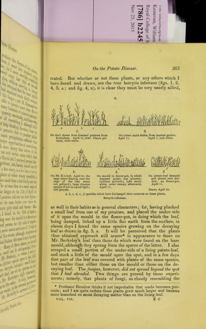 trated. But whether or not these plants, or any others which I have found and drawn, are the true botrytis infestans (figs. 1,2, 4, 5, a; and fig. 4, b), it is clear they must be very nearly allied, A. On dea l shoots from diseased potatoes from On rotten moist stalks, from market garden. Sydenham. April 11, 1846. Plants pel- April 17. April 7, tuft white, lucid, tufts white. On Mr. B.’s leaf, April 16, the large plant floating over the edge of the leaf, when cut, pellucid ; large clusters opaque if not in a good light; tuft greyish. On mould in flower-pot, In which On potato-leaf damped diseased potato was planted; and placed over mil- brilliant pellucid; tufts steely dew, on flower-pot. white, some creamy afterwards. April 11. April 11. Drawn April 20. a, b, c, d, e, f, sporidia which have discharged their contents on these plants. Botrytis infestans. as well in their habits as in general characters; for, having plucked a small leaf from one of my potatoes, and placed the under-side of it upon the mould in the flower-pot, in doing which the leaf, being damped, licked up a little fine earth from the surface, in eleven days I found the same species growing on the decaying leaf as drawn in fig. 5, A. It will be perceived that the plants thus obtained approach still nearer* in appearance to those on Mr. Berkeley’s leaf than those do which were found on the bare mould, although they sprang from the spores of the latter. I also scraped a small portion of the under-side of a living potato-leaf, and stuck a little of the mould upon the spot, and in a few days that part of the leaf was covered with plants of the same species, but smaller than either those on the mould or those on the de- caying leaf. Thq fungus, however, did not spread beyond the spot that I had abraded. Two things are proved by these experi- ments; namely, that plants of fungi, so closely resembling the * Professor Henslow thinks it not improbable that uredo becomes puc- cinia; and I am quite certain these plants grew much larger and became more branched on moist decaying matter than on the living leaf.