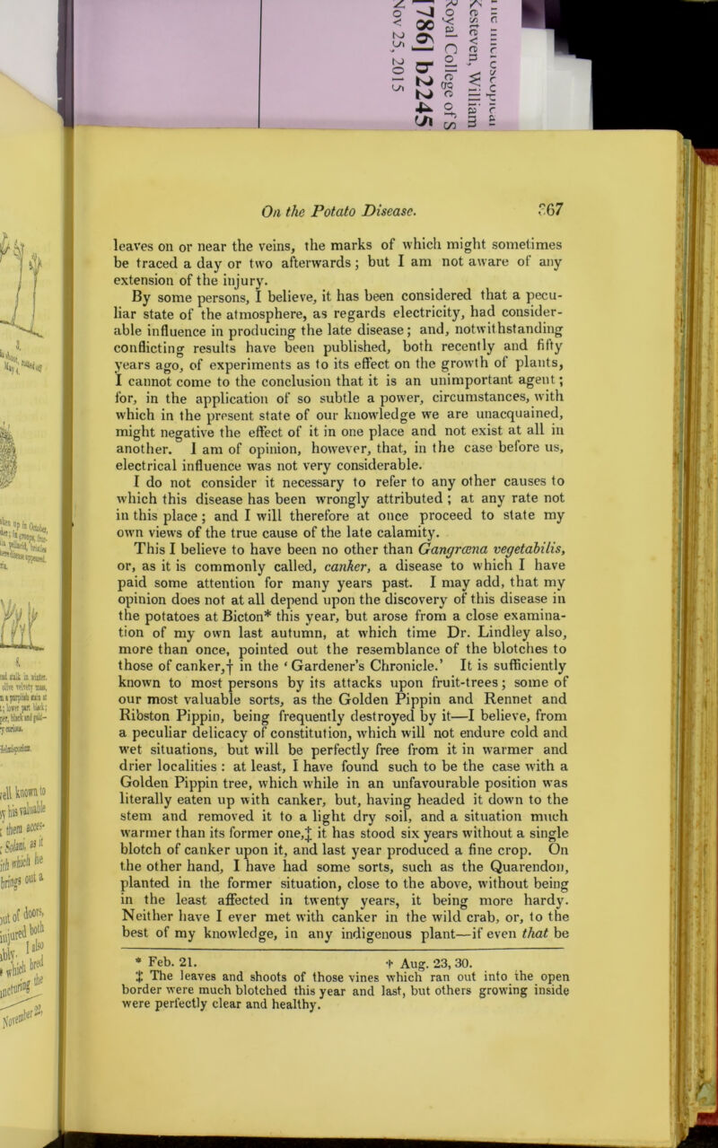 leaves on or near the veins, the marks of which might sometimes be traced a day or two afterwards; but I am not aware of any extension of the injury. By some persons, I believe, it has been considered that a pecu- liar state of the atmosphere, as regards electricity, had consider- able influence in producing the late disease; and, notwithstanding conflicting results have been published, both recently and fifty years ago, of experiments as to its effect on the growth of plants, I cannot come to the conclusion that it is an unimportant agent; for, in the application of so subtle a power, circumstances, with which in the present state of our knowledge we are unacquained, might negative the effect of it in one place and not exist at all in another. 1 am of opinion, however, that, in the case before us, electrical influence was not very considerable. I do not consider it necessary to refer to any other causes to which this disease has been wrongly attributed ; at any rate not in this place ; and I will therefore at once proceed to state my own views of the true cause of the late calamity. This I believe to have been no other than Gangrcena vegetabilis, or, as it is commonly called, canker, a disease to which I have paid some attention for many years past. I may add, that my opinion does not at all depend upon the discovery of this disease in the potatoes at Bicton* this year, but arose from a close examina- tion of my own last autumn, at which time Dr. Lindley also, more than once, pointed out the resemblance of the blotches to those ofcanker,| in the ‘Gardener’s Chronicle.’ It is sufficiently known to most persons by its attacks upon fruit-trees; some of our most valuable sorts, as the Golden Pippin and Rennet and Ri’oston Pippin, being frequently destroyed by it—I believe, from a peculiar delicacy of constitution, which will not endure cold and wet situations, but will be perfectly free from it in warmer and drier localities : at least, I have found such to be the case with a Golden Pippin tree, which while in an unfavourable position was literally eaten up with canker, but, having headed it dowm to the stem and removed it to a light dry soil, and a situation much warmer than its former one,! it has stood six years without a single blotch of canker upon it, and last year produced a fine crop. On the other hand, I have had some sorts, such as the Quarendon, planted in the former situation, close to the above, without being in the least affected in twenty years, it being more hardy. Neither have I ever met with canker in the wild crab, or, to the best of my knowledge, in any indigenous plant—if even that be * Feb. 21. f Aug. 23, 30. X The leaves and shoots of those vines which ran out into the open border were much blotched this year and last, but others growing inside were perfectly clear and healthy.
