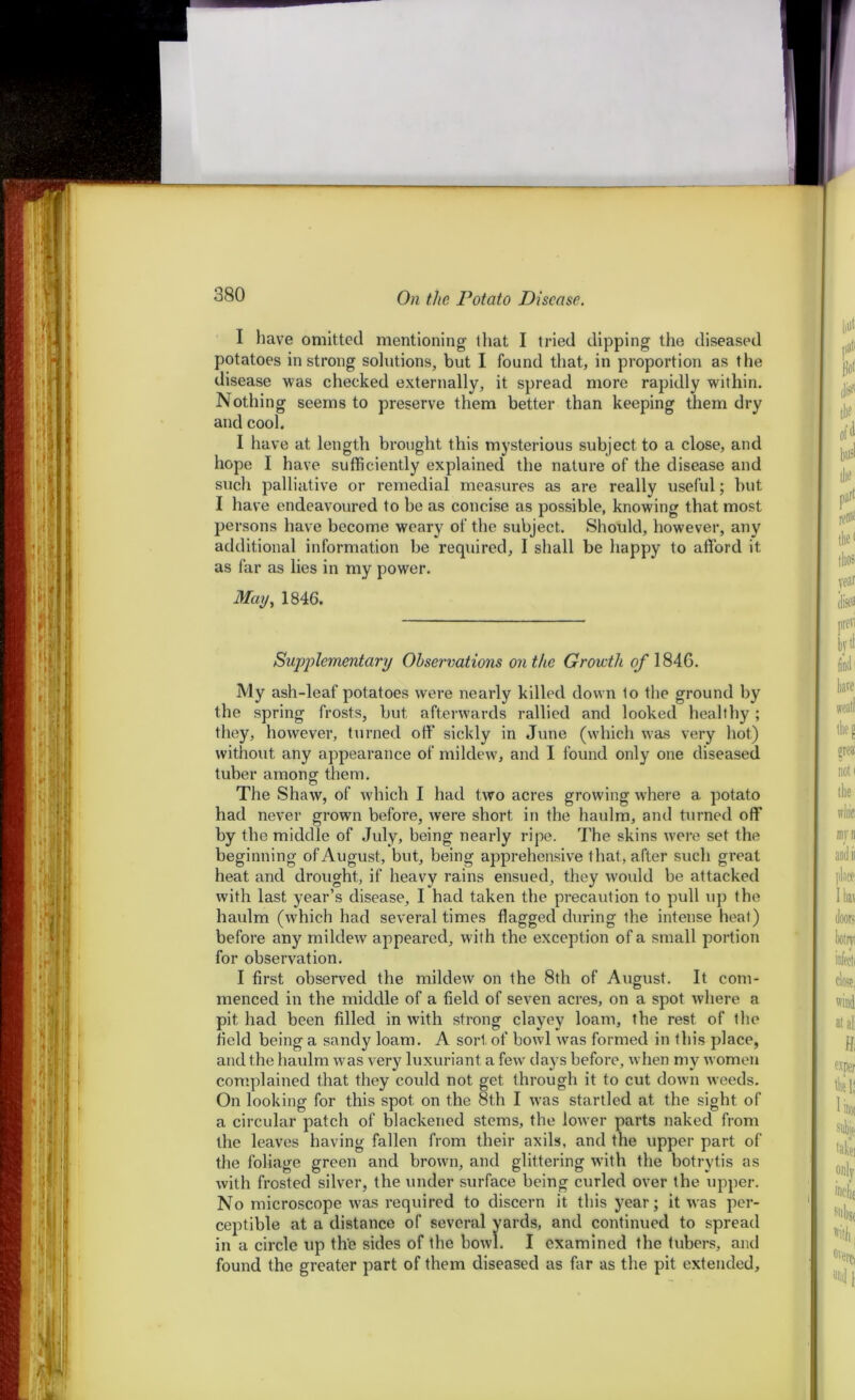 I have omitted mentioning that I tried dipping the diseased potatoes in strong solutions, but I found that, in proportion as the disease was checked externally, it spread more rapidly within. Nothing seems to preserve them better than keeping them dry and cool. such palliative or remedial measures as are really useful; but I have endeavoured to be as concise as possible, knowing that most persons have become weary of the subject. Should, however, any additional information be required, I shall be happy to afford it as far as lies in my power. May, 1846. Supp lenient a ry Observations on the Growth of 184G. My ash-leaf potatoes were nearly killed down 1o the ground by the spring frosts, but afterwards rallied and looked healthy ; they, however, turned off sickly in June (which was very hot) without any appearance of mildew, and I found only one diseased tuber among them. The Shaw, of which I had two acres growing where a potato had never grown before, were short in the haulm, and turned off by the middle of July, being nearly ripe. The skins were set the beginning of August, but, being apprehensive that, after such great heat and drought, if heavy rains ensued, they would be attacked haulm (which had several times flagged during the intense heat) before any mildew appeared, with the exception of a small portion for observation. I first observed the mildew on the 8th of August. It com- menced in the middle of a field of seven acres, on a spot where a pit had been filled in with strong clayey loam, the rest of the and the haulm was very luxuriant a few days before, when my women complained that they could not get through it to cut down weeds. On looking for this spot on the 8th I was startled at the sight of a circular patch of blackened stems, the lower parts naked from the leaves having fallen from their axils, and the upper part of the foliage green and brown, and glittering with the botrytis as with frosted silver, the under surface being curled over the upper. No microscope was required to discern it this year; it was per- ards, and continued to spread found the greater part of them diseased as far as the pit extended. I have at length brought this mysterious subject to a close, and hope I have sufficiently explained the nature of the disease and with last year’s disease, I had taken the precaution to pull up the field being a sandy loam. A sort of bowl was formed in this place, I examined the tubers, and
