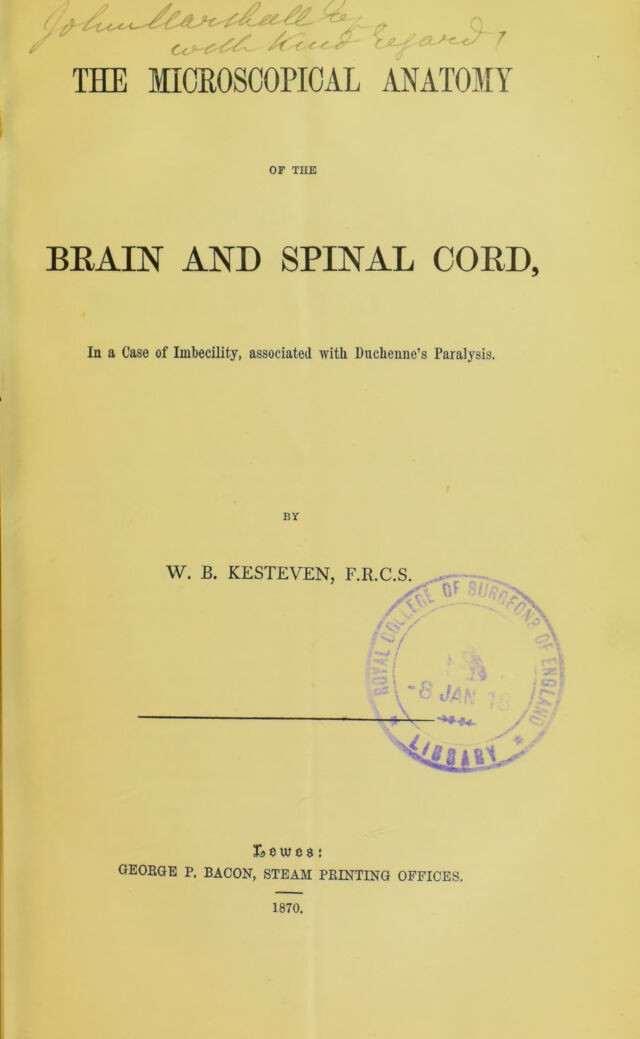 digitised image 3