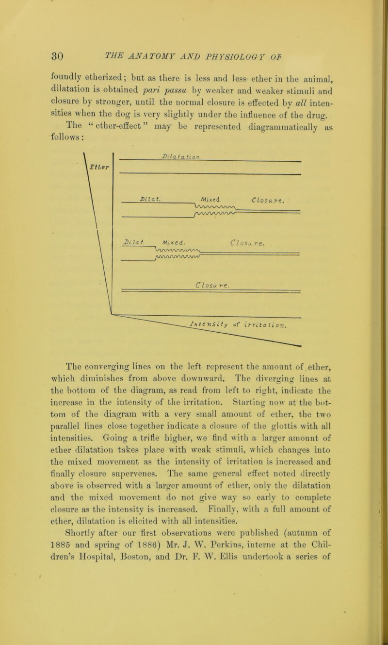 foundly etherized; but as there is less and less' ether in the animal, dilatation is obtained pari passu by weaker and weaker stimuli and closure by stronger, until the normal closure is effected by all inten- sities when the dog is very slightly under the influence of the drug. Ihe “ether-effect” may be represented diagrammatically as follows: The converging lines on the left represent the amount of ether, which diminishes from above downward. The diverminlines at the bottom of the diagram, as read from left to right, indicate the increase in the intensity of the irritation. Starting now at the bot- tom of the diagram with a very small amount of ether, the two parallel lines close together indicate a closure of the glottis with all intensities. Going a trifle higher, we find with a larger amount of ether dilatation takes place with weak stimuli, which changes into the mixed movement as the intensity of irritation is increased and finally closure supervenes. The same general effect noted directly above is observed with a larger amount of ether, only the dilatation and the mixed movement do not give way so early to complete closure as the intensity is increased. Finally, with a full amount of ether, dilatation is elicited with all intensities. Shortly after our first observations were published (autumn of 1885 and spring of 1886) Mr. J. W. Perkins, interne at the Chil- dren’s Hospital, Boston, and Dr. F. W. Ellis undertook a series of