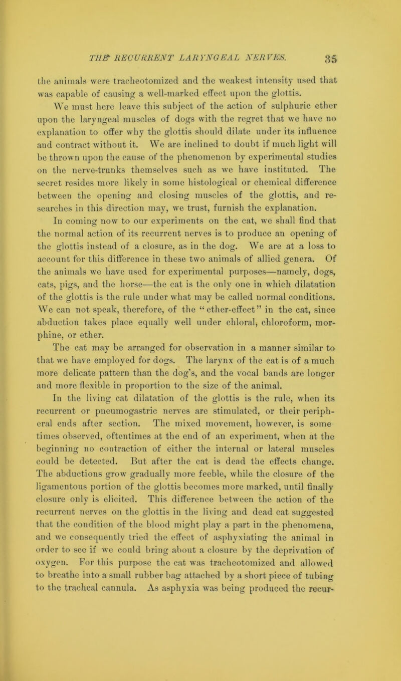 the animals were tracheotomized and the weakest intensity used that was capable of causing a well-marked effect upon the glottis. We must here leave this subject of the action of sulphuric ether upon the laryngeal muscles of dogs with the regret that we have no explanation to offer why the glottis should dilate under its influence and contract without it. We are inclined to doubt if much light will be thrown upon the cause of the phenomenon by experimental studies on the nerve-trunks themselves such as we have instituted. The secret resides more likely in some histological or chemical difference between the opening and closing muscles of the glottis, and re- searches in this direction may, we trust, furnish the explanation. In coining now to our experiments on the cat, we shall find that the normal action of its recurrent nerves is to produce an opening of the glottis instead of a closure, as in the dog. We are at a loss to account for this difference in these two animals of allied genera. Of the animals we have used for experimental purposes—namely, clogs, cats, pigs, and the horse—the cat is the only one in which dilatation of the glottis is the rule under what may be called normal conditions. We can not speak, therefore, of the “ether-effect” in the cat, since abduction takes place equally well under chloral, chloroform, mor- phine, or ether. The cat may be arranged for observation in a manner similar to that we have employed for dogs. The larynx of the cat is of a much more delicate pattern than the dog's, and the vocal bands are longer and more flexible in proportion to the size of the animal. In the living cat dilatation of the glottis is the rule, when its recurrent or pneumogastric nerves are stimulated, or their periph- eral ends after section. The mixed movement, however, is some times observed, oftentimes at the end of an experiment, when at the beginning no contraction of either the internal or lateral muscles could be detected. But after the cat is dead the effects change. The abductions grow gradually more feeble, while the closure of the ligamentous portion of the glottis becomes more marked, until finally closure only is elicited. This difference between the action of the recurrent nerves on the glottis in the living and dead cat suggested that the condition of the blood might play a part in the phenomena, and we consequently tried the effect of asphyxiating the animal in order to see if we could bring about a closure by the deprivation of oxygen. For this purpose the cat was tracheotomized and allowed to breathe into a small rubber bag attached by a short piece of tubing to the tracheal cannula. As asphyxia wras being produced the recur-