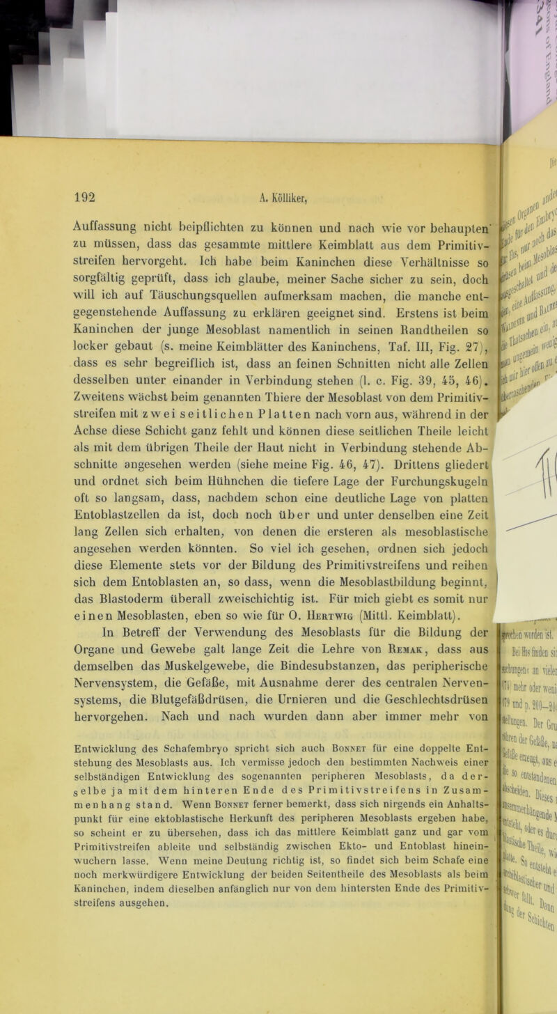Auffassung nicht beipflichten zu können und nach wie vor behaupten’ zu müssen, dass das gesammte mittlere Keimblatt aus dem Primitiv- streifen hervorgeht. Ich habe beim Kaninchen diese Verhältnisse so sorgfältig geprüft, dass ich glaube, meiner Sache sicher zu sein, doch will ich auf Täuschungsquellen aufmerksam machen, die manche ent- gegenstehende Auffassung zu erklären geeignet sind. Erstens ist beim Kaninchen der junge Mesoblast namentlich in seinen Randtheilen so locker gebaut (s. meine Keimblätter des Kaninchens, Taf. III, Fig. 27), dass es sehr begreiflich ist, dass an feinen Schnitten nicht alle Zellen desselben unter einander in Verbindung stehen (1. c. Fig. 39, 45, 46). Zweitens wächst beim genannten Thiere der Mesoblast von dem Primitiv- streifen mit zwei seitlichen Platten nach vorn aus, während in der Achse diese Schicht ganz fehlt und können diese seitlichen Theile leicht als mit dem übrigen Theile der Haut nicht in Verbindung stehende Ab- schnitte angesehen werden (siehe meine Fig. 46, 47). Drittens gliedert und ordnet sich beim Hühnchen die tiefere Lage der Furchungskugeln oft so langsam, dass, nachdem schon eine deutliche Lage von platten Entoblastzellen da ist, doch noch über und unter denselben eine Zeit lang Zellen sich erhalten, von denen die ersleren als mesoblaslische angesehen werden könnten. So viel ich gesehen, ordnen sich jedoch diese Elemente stets vor der Bildung des Primitivstreifens und reihen sich dem Entoblasten an, so dass, wenn die Mesoblastbildung beginnt, das Blastoderm überall zweischichtig ist. Für mich giebt es somit nur einen Mesoblasten, eben so wie für 0. Hertwig (Mittl. Keimblatt). In Betreff der Verwendung des Mesoblasls für die Bildung der Organe und Gewebe galt lauge Zeit die Lehre von Remak, dass aus demselben das Muskelgewebe, die Bindesubstanzen, das peripherische Nervensystem, die Gefäße, mit Ausnahme derer des centralen Nerven- systems, die Blutgefäßdrüsen, die Urnieren und die Geschlechtsdrüsen hervorgehen. Nach und nach wurden dann aber immer mehr von <>l,s jr #>'c 5eii ein« ;clialtel HD1 ■ -Aul ✓ icbeu eilt it r'-' liier« litt'11 sprocben worden ist. Bei Bis finden sic fetoßgen« an vieler Hi mehr oder wenn W md p. 300—201 letaeen. Der Gru Entwicklung des Schafembryo spricht sich auch Bonnet für eine doppelte Ent- stehung des Mesoblasts aus. Ich vermisse jedoch den bestimmten Nachweis einer selbständigen Entwicklung des sogenannten peripheren Mesoblasts, da der- selbe ja mit dem hinteren Ende des Primitivstreifens in Zusam- menhang stand. Wenn Bonnet ferner bemerkt, dass sich nirgends ein Anhalts- punkt für eine ektoblastische Herkunft des peripheren Mesoblasts ergeben habe, so scheint er zu übersehen, dass ich das mittlere Keimblatt ganz und gar vom Primitivstreifen ableite und selbständig zwischen Ekto- und Entoblast hinein- wuchern lasse. Wenn meine Deutung richtig ist, so findet sich beim Schafe eine noch merkwürdigere Entwicklung der beiden Seitentheile des Mesoblasts als beim Kaninchen, indem dieselben anfänglich nur von dem hintersten Ende des Primitiv- streifens ausgehen. Wsu-Lt h, ,ueres durc ieTheile Stellt bischer »wer [5 % der Seh* *n ei und ton