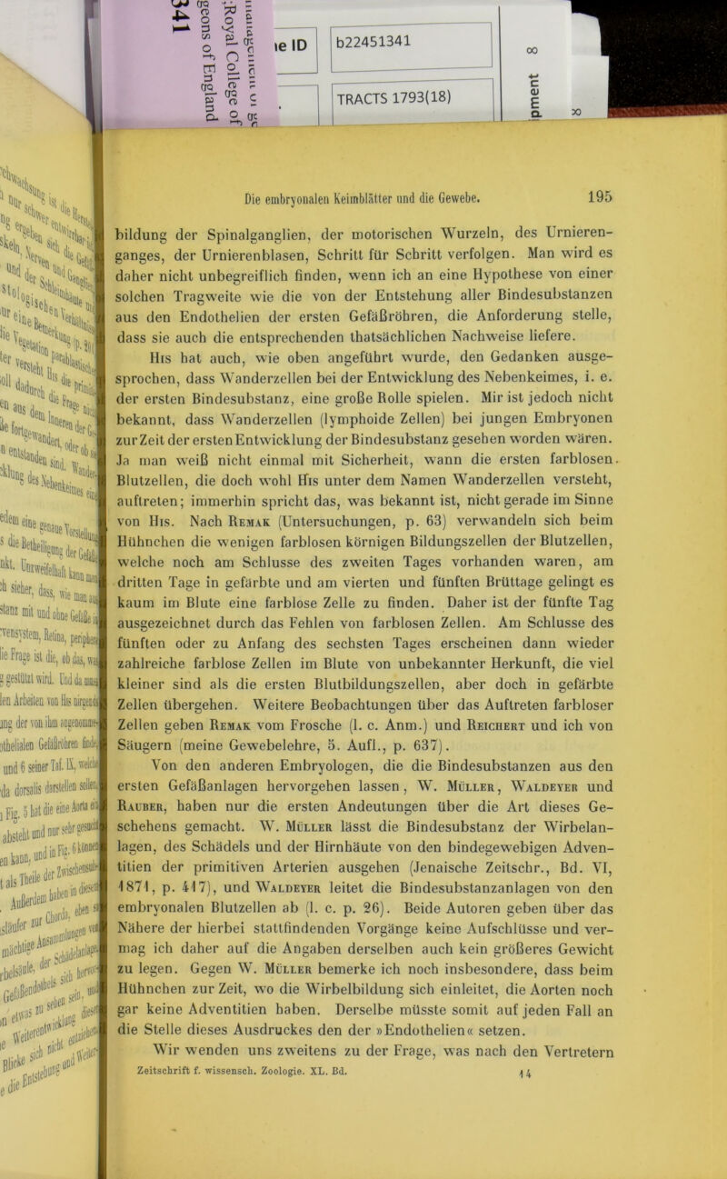 CTQ a> o 3 ga O m 3 qo, ET 3 3- ? I n o. <v OQ CD P OC 0 crc r. ie ID b22451341 TRACTS 1793(18) 00 c QJ E Q. 1 X »x 5 %k 'I S 6r Versieht ii^S| l0lHircii en ans Fr; “»im1 ' '“«feines * .fcST^ ßkt, Uozwei 'h sicher, dass, stanz mit i ■«Wem, Retina, periphen Frage ist die, obdas, wai 5 0' len Arbeiten von His oipn jDg der von ihm aceenommb nthelialen Geiröhren findej| und 6 seiner Taf. IX, wWj ■da dorsalis darstellen sollen, i Fig. 5 hat die eine Ao abstehtund nur sehr gesuct Heile d9J«*f in1'“ tals GG‘‘’ sehe0 sein- >(,’n >«J , Weit®' Die embryonalen Keimblätter und die Gewebe. 195 , f m Chorda. 1 isläufe' zU n vo§| Ansai*'11 der Schäd'1' sich heff011 die W bildung der Spinalganglien, der motorischen Wurzeln, des Urnieren- ganges, der Urnierenblasen, Schritt für Schritt verfolgen. Man wird es daher nicht unbegreiflich finden, wenn ich an eine Hypothese von einer solchen Tragweite wie die von der Entstehung aller Bindesubstanzen aus den Endothelien der ersten Gefäßröhren, die Anforderung stelle, dass sie auch die entsprechenden thatsächlichen Nachweise liefere. His hat auch, wie oben angeführt wurde, den Gedanken ausge- sprochen, dass Wanderzellen bei der Entwicklung des Nebenkeimes, i. e. der ersten Bindesubstanz, eine große Bolle spielen. Mir ist jedoch nicht bekannt, dass Wanderzellen (lymphoide Zellen) bei jungen Embryonen zurZeit der ersten Entwicklung der Bindesubstanz gesehen worden wären. Ja man weiß nicht einmal mit Sicherheit, wann die ersten farblosen. Blutzellen, die doch wohl His unter dem Namen Wanderzellen versieht, auftreten; immerhin spricht das, was bekannt ist, nicht gerade im Sinne von His. Nach Remak (Untersuchungen, p. 63) verwandeln sich beim Hühnchen die wenigen farblosen körnigen Bildungszellen der Blulzellen, welche noch am Schlüsse des zweiten Tages vorhanden waren, am dritten Tage in gefärbte und am vierten und fünften Brüttage gelingt es kaum im Blute eine farblose Zelle zu finden. Daher ist der fünfte Tag ausgezeichnet durch das Fehlen von farblosen Zellen. Am Schlüsse des fünften oder zu Anfang des sechsten Tages erscheinen dann wieder zahlreiche farblose Zellen im Blute von unbekannter Herkunft, die viel kleiner sind als die ersten Blutbildungszellen, aber doch in gefärbte Zellen übergehen. Weitere Beobachtungen über das Auftreten farbloser Zellen geben Remak vom Frosche (1. c. Anm.) und Reichert und ich von Säugern (meine Gewebelehre, 5. Aufl., p. 637). Von den anderen Embryologen, die die Bindesubstanzen aus den ersten Gefäßanlagen hervorgehen lassen, W. Müller, Waldeyer und Räuber, haben nur die ersten Andeutungen über die Art dieses Ge- schehens gemacht. W. Müller lässt die Bindesubstanz der Wirbelan- lagen, des Schädels und der Hirnhäute von den bindegewebigen Adven- titien der primitiven Arterien ausgehen (Jenaische Zeitschr., Bd. VI, 1871, p. 417), und Waldeyer leitet die Bindesubstanzanlagen von den embryonalen Blutzellen ab (1. c. p. 26). Beide Autoren geben über das Nähere der hierbei stattfindenden Vorgänge keine Aufschlüsse und ver- mag ich daher auf die Angaben derselben auch kein größeres Gewicht zu legen. Gegen W. Müller bemerke ich noch insbesondere, dass beim Hühnchen zur Zeit, wo die Wirbelbildung sich einleitet, die Aorten noch gar keine Adventitien haben. Derselbe müsste somit auf jeden Fall an die Stelle dieses Ausdruckes den der »Endothelien« setzen. Wir wenden uns zweitens zu der Frage, was nach den Vertretern Zeitschrift f. wissensch. Zoologie. XL. Bd. \ 4