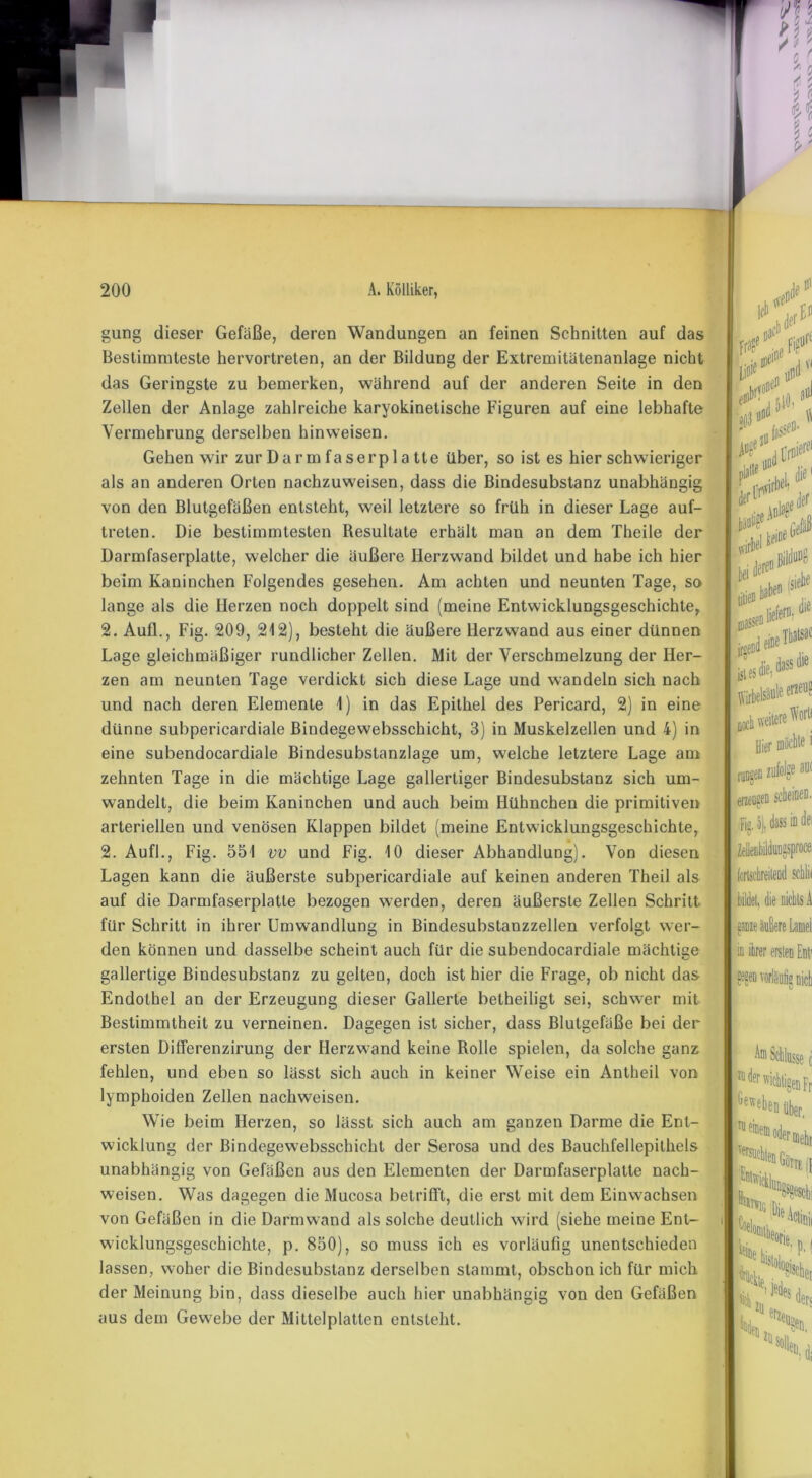 gung dieser Gefäße, deren Wandungen an feinen Schnitten auf das Bestimmteste hervortreten, an der Bildung der Extremitätenanlage nicht das Geringste zu bemerken, während auf der anderen Seite in den Zellen der Anlage zahlreiche karyokinetische Figuren auf eine lebhafte Vermehrung derselben hinweisen. Gehen wir zur Darm faserplatte über, so ist es hier schwieriger als an anderen Orten nachzuweisen, dass die Bindesubstanz unabhängig von den Blutgefäßen entsteht, weil letztere so früh in dieser Lage auf- treten. Die bestimmtesten Resultate erhält man an dem Theile der Darmfaserplatte, welcher die äußere Iierzwand bildet und habe ich hier beim Kaninchen Folgendes gesehen. Am achten und neunten Tage, so lange als die Herzen noch doppelt sind (meine Entwicklungsgeschichte, 2. AufL, Fig. 209, 212), besteht die äußere Iierzwand aus einer dünnen Lage gleichmäßiger rundlicher Zellen. Mit der Verschmelzung der Her- zen am neunten Tage verdickt sich diese Lage und wandeln sich nach und nach deren Elemente 1) in das Epithel des Pericard, 2) in eine dünne subpericardiale Bindegewebsschicht, 3) in Muskelzellen und 4) in eine subendocardiale Bindesubstanzlage um, welche letztere Lage am zehnten Tage in die mächtige Lage gallertiger Bindesubstanz sich um- wandelt, die beim Kaninchen und auch beim Hühnchen die primitiven arteriellen und venösen Klappen bildet (meine Entwicklungsgeschichte, 2. AufL, Fig. 551 vv und Fig. 10 dieser Abhandlung). Von diesen Lagen kann die äußerste subpericardiale auf keinen anderen Theil als auf die Darmfaserplatle bezogen werden, deren äußerste Zellen Schritt für Schritt in ihrer Umwandlung in Bindesubstanzzellen verfolgt wer- den können und dasselbe scheint auch für die subendocardiale mächtige gallertige Bindesubstanz zu gelten, doch ist hier die Frage, ob nicht das Endothel an der Erzeugung dieser Gallerte betheiligt sei, schwer mit Bestimmtheit zu verneinen. Dagegen ist sicher, dass Blutgefäße bei der ersten Differenzirung der Herzwand keine Rolle spielen, da solche ganz fehlen, und eben so lässt sich auch in keiner Weise ein Antheil von lymphoiden Zellen nachweisen. Wie beim Herzen, so lässt sich auch am ganzen Darme die Ent- wicklung der Bindegewebsschicht der Serosa und des Bauchfellepithels unabhängig von Gefäßen aus den Elementen der Darmfaserplatte nach- weisen. Was dagegen die Mucosa betrifft, die erst mit dem Einwachsen von Gefäßen in die Darmwand als solche deutlich wird (siehe meine Ent- wicklungsgeschichte, p. 850), so muss ich es vorläufig unentschieden lassen, woher die Bindesubstanz derselben stammt, obschon ich für mich der Meinung bin, dass dieselbe auch hier unabhängig von den Gefäßen aus dem Gewebe der Mittelplatten entsteht. '«V» L’V ul fl fld 6» tA*1 der l>eie bei deren titieu Isiete massen liefern. die irgend e®e Tbatsac ist es Wirl noch weitere fl’orü zufolge au( erzeugen scheinen. Ii». 3), dass in dei ZellenbilduDgsproce, fortschreitend sctlii bildet, die nichts A in ihrer ersten Ent' legen vorläufig nich Schlüsse d r*s* i fest ■ui ers Xu, eii.