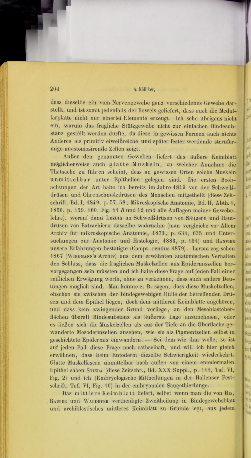 ~^r i dass dieselbe ein vom Nervengewebe ganz verschiedenes Gewebe dar- stellt, und ist somit jedenfalls der Beweis geliefert, dass auch die Medul- larplatte nicht nur einerlei Elemente erzeugt. Ich sehe übrigens nicht ein, warum das fragliche Stützgewebe nicht zur einfachen Bindesub- stanz gestellt werden dürfte, da diese in gewissen Formen auch nichts Anderes als primitiv eiweißreiche und später fester werdende sternför- mige anastomosirende Zellen zeigt. Außer den genannten Geweben liefert das äußere Keimblatt möglicherweise auch glatte Muskeln, zu welcher Annahme die Thatsache zu führen scheint, dass an gewissen Orlen solche Muskeln unmittelbar unter Epilhelien gelegen sind. Die ersten Beob- achtungen der Art habe ich bereits im Jahre 1849 von den Schweiß- drüsen und Ohrenschmalzdrüsen des Menschen mitgetheilt (diese Zeit- schrift, Bd.I, 1849, p. 57, 58 ; Mikroskopische Anatomie, Bd. II, Abth. 1, 1850, p. 159, 160, Fig. 41 B und 42 und alle Auflagen meiner Gewebe- lehre), worauf dann Leydig an Schweißdrüsen von Säugern und Haut- drüsen von Batrachiern dasselbe wahrnahm (man vergleiche vor Allem Archiv für mikroskopische Anatomie, 1873, p. 634, 635 und Unter- suchungen zur Anatomie und Histologie, 1883, p. 151) und Ranvier unsere Erfahrungen bestätigte (Compt. rendus 1879). Leydig zog schon 1867 (Wiegmann’s Archiv) aus dem erwähnten anatomischen Verhalten den Schluss, dass die fraglichen Muskelzellen aus Epidermiszellen her- vorgegangen sein müssten und ich halte diese Frage auf jeden Fall einer reiflichen Erwägung werth, ohne zu verkennen, dass auch andere Deu- tungen möglich sind. Man könnte z. B. sagen, dass diese Muskelzellen, obschon sie zwischen der bindegewebigen Hülle der betreffenden Drü- sen und dem Epithel liegen, doch dem mittleren Keimblatte angehören, und dass kein zwingender Grund vorliege, an den Mesoblastober- flächen überall Bindesubstanz als äußerste Lage anzunehmen, oder fhf $ plan jiitlf Jlusl jeßS oM der l «lall* t (eiest ich. i Haart dorsa Gefäf es ließen sich die Muskelzellen als aus der Tiefe an die Oberfläche ge- l msse wanderte Mesodermzellen ansehen, wie sie als Pigmentzellen selbst in geschichtete Epidermis einwandern. — Sei dem wie ihm wolle, so ist auf jeden Fall diese Frage noch räthselhaft, und will ich hier gleich erwähnen, dass beim Entoderm dieselbe Schwierigkeit wiederkehrt. Glatte Muskelfasern unmittelbar nach außen von einem entodermalen Epithel sahen Stieda (diese Zeitschr., Bd. XXX Suppl., p. 111, Taf. VI, Fig. 2) und ich (Embryologische Mittheilungen in der Hallenser Fest- schrift, Taf. VI, Fig. 10) in der embryonalen Säugethierlunge. Das mittlere Keimblatt liefert, selbst wenn man die von Ilis, Räuber und Waldeyer vertheidigte Zw'eitheilung in Bindegewrebsblalt und archiblastisches mittleres Keimblatt zu Grunde legt, aus jedem ?ei DDd( Jystei leine ;ej k <u «et Sa