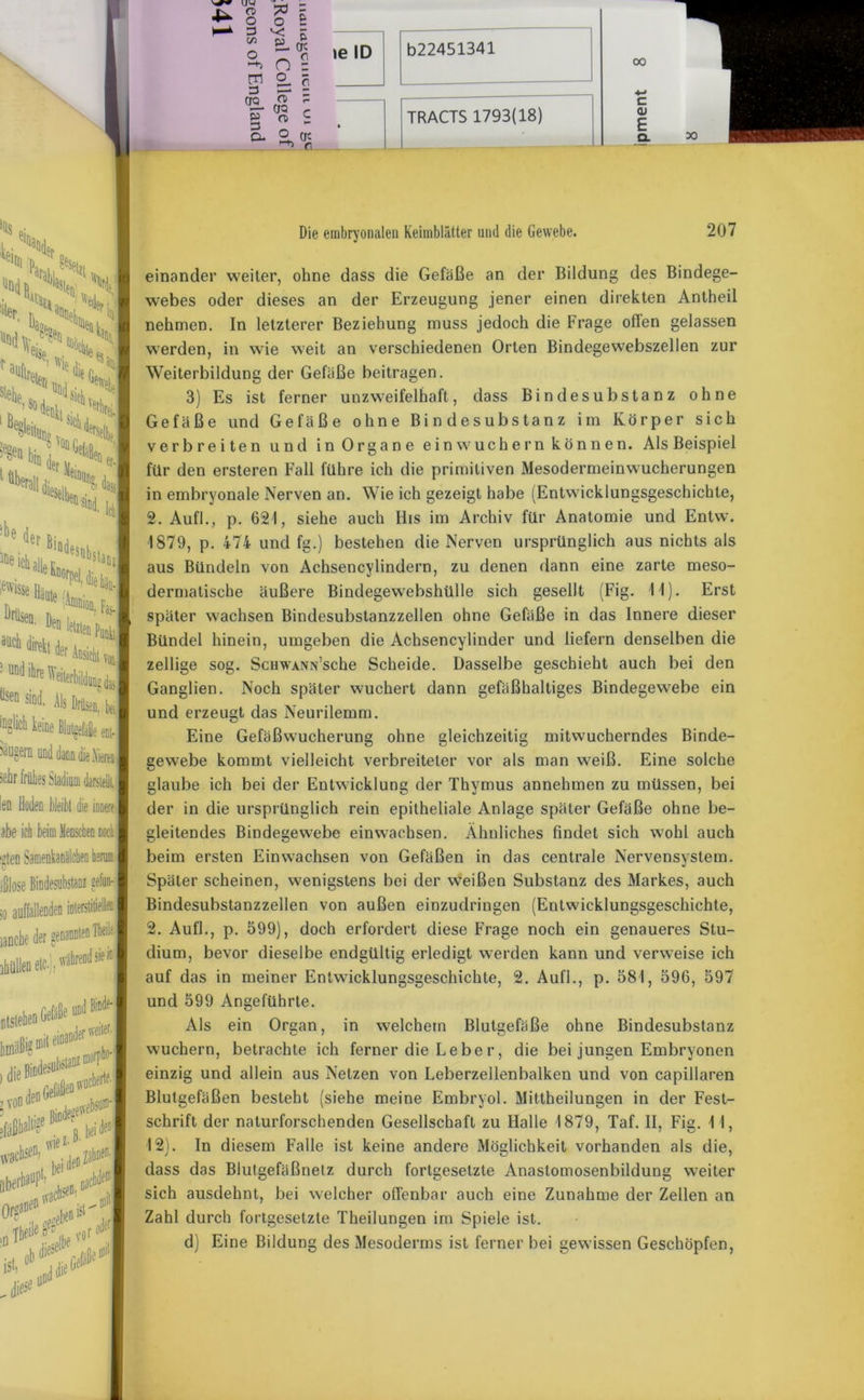 N k7 *%[ Hl N CS ^ Nl erV Xt,X 6»Os ^«13 1 Jleinnr «*»4 'ci diM N M ,::>a ** x* : ^er Ansicht voal Qd'hreWeiterbildungdaJ Q ^ Als Drüsen, bei M keine Blutgefäße ■fin und dann die Nieren ' frühes Stadium darstellt. Hoden bleibt die i i ich beim Menschen noch n Samenkanälchen hem ise Bindesubstanz sefun- iö lanche der ahüllen etc.), Ria mit er i von ;fä wacbseD? iiberbaup1- una inander weiter, irphö'l l0ffücbe4 urdBUH'l ei. Ubneff| nach' iri Ttf*5 v <«' D ist . ^ 0 Die embryonalen Keimblätter und die Gewebe. 207 einander weiter, ohne dass die Gefäße an der Bildung des Bindege- webes oder dieses an der Erzeugung jener einen direkten Antheil nehmen. In letzterer Beziehung muss jedoch die Frage ollen gelassen werden, in wie weit an verschiedenen Orten Bindegewebszellen zur Weiterbildung der Gefäße beitragen. 3) Es ist ferner unzweifelhaft, dass Bindesubstanz ohne Gefäße und Gefäße ohne Bindesubstanz im Körper sich verbreiten und in Organe ein wuchern können. Als Beispiel für den ersteren Fall führe ich die primitiven Mesodermeinwucherungen in embryonale Nerven an. Wie ich gezeigt habe (Entwicklungsgeschichte, 2. Aufl., p. 621, siehe auch His im Archiv für Anatomie und Entw. 1879, p. 474 und fg.) bestehen die Nerven ursprünglich aus nichts als aus Bündeln von Achsencylindern, zu denen dann eine zarte meso- dermatische äußere Bindegewebshülle sich gesellt (Fig. 11). Erst später wachsen Bindesubstanzzellen ohne Gefäße in das Innere dieser Bündel hinein, umgeben die Achsencylinder und liefern denselben die zellige sog. ScHWANN’sche Scheide. Dasselbe geschieht auch bei den Ganglien. Noch später wuchert dann gefäßhaltiges Bindegewebe ein und erzeugt das Neurilemm. Eine Gefäßwucherung ohne gleichzeitig mitwucherndes Binde- gewebe kommt vielleicht verbreiteter vor als man w7eiß. Eine solche glaube ich bei der Entwicklung der Thymus annehmen zu müssen, bei der in die ursprünglich rein epitheliale Anlage später Gefäße ohne be- gleitendes Bindegewebe einw7achsen. Ähnliches findet sich wohl auch beim ersten Ein wachsen von Gefäßen in das centrale Nervensystem. Später scheinen, wenigstens bei der weißen Substanz des Markes, auch Bindesubstanzzellen von außen einzudringen (Entwicklungsgeschichte, 2. Aufl., p. 599), doch erfordert diese Frage noch ein genaueres Stu- dium, bevor dieselbe endgültig erledigt werden kann und verweise ich auf das in meiner Entwicklungsgeschichte, 2. Aufl., p. 581, 596, 597 und 599 Angeführte. Als ein Organ, in welchem Blutgefäße ohne Bindesubstanz wuchern, betrachte ich ferner die Leber, die bei jungen Embryonen einzig und allein aus Netzen von Leberzellenbalken und von capillaren Blutgefäßen besteht (siehe meine Embryol. Mittheilungen in der Fest- schrift der naturforschenden Gesellschaft zu Halle 1879, Taf. II, Fig. 11, 12). In diesem Falle ist keine andere Möglichkeit vorhanden als die, dass das Blutgefäßnelz durch fortgesetzte Anastomosenbildung weiter sich ausdehnt, bei welcher offenbar auch eine Zunahme der Zellen an Zahl durch fortgesetzte Theilungen im Spiele ist. d) Eine Bildung des Mesoderms ist ferner bei gewissen Geschöpfen,