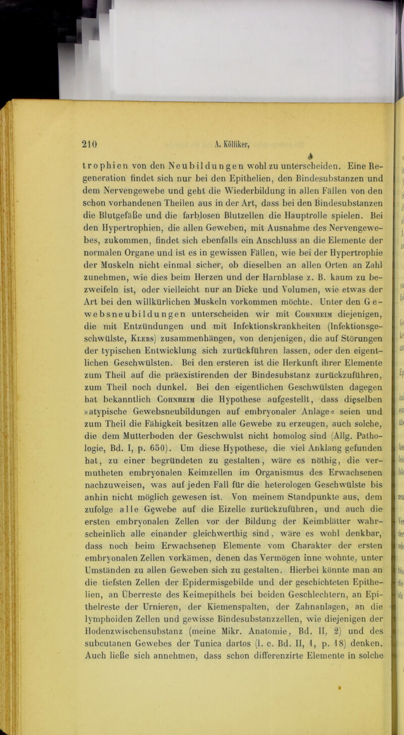 v * trophien von den Neubildungen wohl zu unterscheiden. Eine Re- generation findet sich nur bei den Epithelien, den Bindesubstanzen und dem Nervengewebe und geht die Wiederbildung in allen Fällen von den schon vorhandenen Theilen aus in der Art, dass bei den Bindesubstanzen die Blutgefäße und die farblosen Blutzellen die Hauptrolle spielen. Bei den Hypertrophien, die allen Geweben, mit Ausnahme des Nervengewe- bes, zukommen, findet sich ebenfalls ein Anschluss an die Elemente der normalen Organe und ist es in gewissen Fällen, wie bei der Hypertrophie der Muskeln nicht einmal sicher, ob dieselben an allen Orten an Zahl zunehmen, wie dies beim Herzen und der Harnblase z. B. kaum zu be- zweifeln ist, oder vielleicht nur an Dicke und Volumen, wie etwas der Art bei den willkürlichen Muskeln Vorkommen möchte. Unter den Ge- websneubildungen unterscheiden wir mit Cohnheim diejenigen, die mit Entzündungen und mit Infektionskrankheiten (Infektionsge- schwülste, Klebs) Zusammenhängen, von denjenigen, die auf Störungen der typischen Entwicklung sich zurückführen lassen, oder den eigent- lichen Geschwülsten. Bei den ersteren ist die Herkunft ihrer Elemente zum Theil auf die präexistirenden der Bindesubstanz zurückzuführen, zum Theil noch dunkel. Bei den eigentlichen Geschwülsten dagegen hat bekanntlich Cohnheim die Hypothese aufgestellt, dass dieselben »atypische Gewebsneubildungen auf embryonaler Anlage« seien und zum Theil die Fähigkeit besitzen alle Gewebe zu erzeugen, auch solche, die dem Mutterboden der Geschwulst nicht homolog sind (Allg. Patho- logie, Bd. I, p. 650). Um diese Hypothese, die viel Anklang gefunden hat, zu einer begründeten zu gestalten, wäre es nötbig, die ver- mutheten embryonalen Keimzellen im Organismus des Erwachsenen nachzuweisen, was auf jeden Fall für die lieterologen Geschwülste bis anhin nicht möglich gewesen ist. Von meinem Standpunkte aus, dem zufolge alle Gew7ebe auf die Eizelle zurückzuführen, und auch die ersten embryonalen Zellen vor der Bildung der Keimblätter wahr- scheinlich alle einander gleichwerthig sind, wäre es wohl denkbar, dass noch beim Erwachsenen Elemente vom Charakter der ersten embryonalen Zellen vorkämen, denen das Vermögen inne wohnte, unter Umständen zu allen Geweben sich zu gestalten. Hierbei könnte man an die tiefsten Zellen der Epidermisgebilde und der geschichteten Epithe- lien, an Überreste des Keimepithels bei beiden Geschlechtern, an Epi- thelreste der Urnieren, der Kiemenspalten, der Zahnanlagen, an die lymphoiden Zellen und gewisse Bindesubstanzzellen, wie diejenigen der Hodenzwischensubstanz (meine Mikr. Anatomie, Bd. II, 2) und des subcutanen Gewebes der Tunica dartos (1. c. Bd. II, I, p. 18) denken. Auch ließe sich annehmen, dass schon differenzirte Elemente in solche ii jl is di si .1 K sa fol Ge ke 00 Ep IOC ein 1 fasi leie Ver der als i »