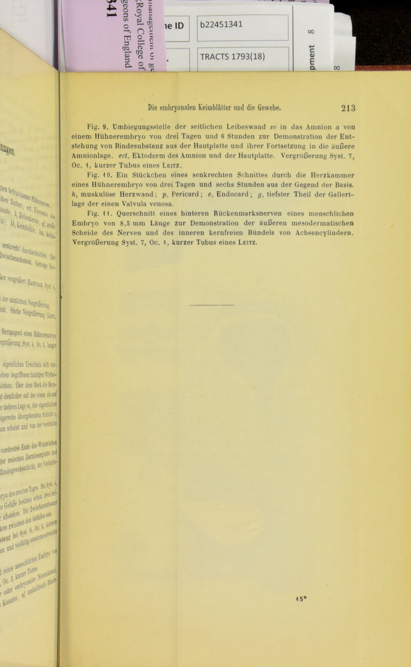 % t I 4- Uw O) o o 5 =3 «- c/i O EL c* OC r n m 3 ö CTQ CD r* 5T 3 CfQ CD C o- °f Cie _r le ID b22451341 TRACTS 1793(18) 00 1 c 01 E Q. 00 Die embryonalen Keimblätter und die Gewebe. 213 Fig. 9. Umbiegungsstelle der seitlichen Leibeswand sv in das Amnion a von einem Hühnerembryo von drei Tagen und 6 Stunden zur Demonstration der Ent- stehung von Bindesubstanz aus der Hautplatte und ihrer Fortsetzung in die äußere Amnionlage, ect, Ektoderm des Amnion und der Hautplatte. Vergrößerung Syst. 7, Oc. 1, kurzer Tubus eines Leitz. Fig. 10. Ein Stückchen eines senkrechten Schnittes durch die Herzkammer eines Hühnerembryo von drei Tagen und sechs Stunden aus der Gegend der Basis. h, muskulöse Herzwand; p, Pericard; e, Endocard; g, tiefster Theil der Gallert- lage der einen Valvula venosa. Fig. W. Querschnitt eines hinteren Rückenmarksnerven eines menschlichen Embryo von 8,5 mm Länge zur Demonstration der äußeren mesodermatischen Scheide des Nerven und des inneren kernfreien Bündels von Achsencylindern. Vergrößerung Syst. 7, Oc. t, kurzer Tubus eines Leitz. Herzgegend eines Huhnerembno Tgrößenmg ;Syst. t, Oc. 3, langer eigentlichen Crwirbeln sieh ent-1 ehen begriffenen hänligeiiWirbel-1 ilichen. über dem Mark die Mein-1 ;t deutlicher auf der einen als auf I ir tieferen Lage m, der eigentlichen I [egewebe übergehendeo Schicht c, I ien scheint und von der venlralea I