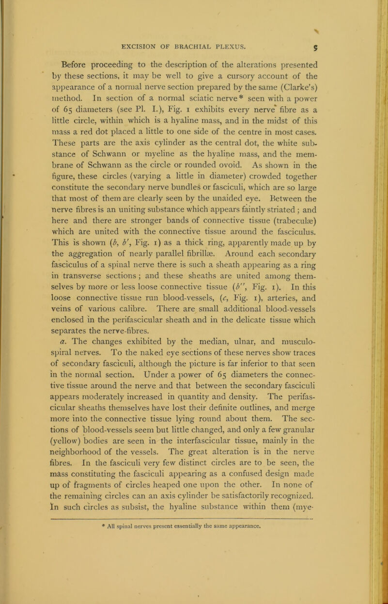 5 Before proceeding to the description of the alterations presented by these sections, it may be well to give a cursory account of the appearance of a normal nerve section prepared by the same (Clarke’s) method. In section of a normal sciatic nerve* seen with a power of 65 diameters (see PI. I.), Fig. 1 exhibits every nerve fibre as a little circle, within which is a hyaline mass, and in the midst of this mass a red dot placed a little to one side of the centre in most cases. These parts are the axis cylinder as the central dot, the white sub- stance of Schwann or myeline as the hyaline mass, and the mem- brane of Schwann as the circle or rounded ovoid. As shown in the figure, these circles (varying a little in diameter) crowded together constitute the secondary nerve bundles or fasciculi, which are so large that most of them are clearly seen by the unaided eye. Between the nerve fibres is an uniting substance which appears faintly striated ; and here and there are stronger bands of connective tissue (trabeculae) which are united with the connective tissue around the fasciculus. This is shown (b, b', Fig. 1) as a thick ring, apparently made up by the aggregation of nearly parallel fibrillae. Around each secondary fasciculus of a spinal nerve there is such a sheath appearing as a ring in transverse sections; and these sheaths are united among them- selves by more or less loose connective tissue (b, Fig. 1). In this loose connective tissue run blood-vessels, (c, Fig. 1), arteries, and veins of various calibre. There are small additional blood-vessels enclosed in the perifascicular sheath and in the delicate tissue which separates the nerve-fibres. a. The changes exhibited by the median, ulnar, and musculo- spiral nerves. To the naked eye sections of these nerves show traces of secondary fasciculi, although the picture is far inferior to that seen in the normal section. Under a power of 65 diameters the connec- tive tissue around the nerve and that between the secondary fasciculi appears moderately increased in quantity and density. The perifas- cicular sheaths themselves have lost their definite outlines, and merge more into the connective tissue lying round about them. The sec- tions of blood-vessels seem but little changed, and only a few granular (yellow) bodies are seen in the interfascicular tissue, mainly in the neighborhood of the vessels. The great alteration is in the nerve fibres. In the fasciculi very few distinct circles are to be seen, the mass constituting the fasciculi appearing as a confused design made up of fragments of circles heaped one upon the other. In none of the remaining circles can an axis cylinder be satisfactorily recognized. In such circles as subsist, the hyaline substance within them (mye- * All spinal nerves present essentially the same appearance.