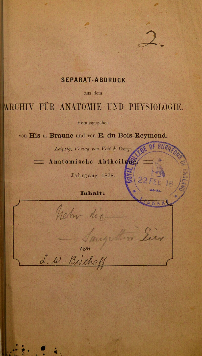 V .%'i m- SEPARAt-ABDRUCK Wk aus dem ARCHIV FÜR ANATOMIE UND PHYSIOLOGIE. Herausgegeben von His u. Braune und von E. du Bois-Beymond. Leipzig, Verlag von Veit Sf Comp Anatomische Ahtlieil Jahrgang 1878. Inhalt: /Wy / / \ o£. AJ. r fi ' . . ; ■’ y . ’ ' •«. \ •