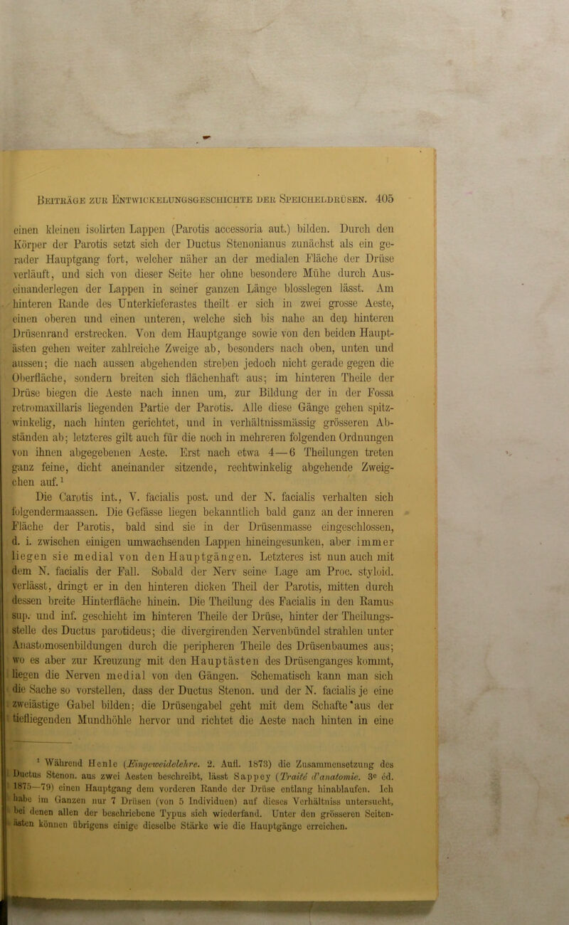 einen kleinen isolirten Lappen (Parotis aceessoria aut.) bilden. Durch den Körper der Parotis setzt sich der Ductus Stenonianus zunächst als ein ge- rader Hauptgang fort, welcher näher an der medialen Fläche der Drüse verläuft, und sich von dieser Seite her ohne besondere Mühe durch Aus- einanderlegen der Lappen in seiner ganzen Länge blosslegen lässt. Am hinteren Rande des Unterkieferastes theilt er sich in zwei grosse Aeste, einen oberen und einen unteren, welche sich bis nahe an den hinteren Drüsenrand erstrecken. Von dem Hauptgange sowie von den beiden Haupt- ästen gehen weiter zahlreiche Zweige ab, besonders nach oben, unten und aussen; die nach aussen abgehenden streben jedoch nicht gerade gegen die Oberfläche, sondern breiten sich flächenhaft aus; im hinteren Theile der Drüse biegen die Aeste nach innen um, zur Bildung der in der Fossa retromaxillaris hegenden Partie der Parotis. Alle diese Gänge gehen spitz- winkelig, nach hinten gerichtet, und in verhältnissmässig grösseren Ab- ständen ab; letzteres gilt auch für die noch in mehreren folgenden Ordnungen von ihnen abgegebenen Aeste. Erst nach etwa 4—6 Theilungen treten ganz feine, dicht aneinander sitzende, rechtwinkelig abgehende Zweig- ehen auf.1 Die Carotis int., V. facialis post, und der N. facialis verhalten sich folgendermaassen. Die Gefässe liegen bekanntlich bald ganz an der inneren Fläche der Parotis, bald sind sie in der Drüsenmasse eingeschlossen, d. i. zwischen einigen umwachsenden Lappen hineingesunken, aber immer liegen sie medial von den Hauptgängen. Letzteres ist nun auch mit dem N. facialis der Fall. Sobald der Nerv seine Lage am Proc. styloid. verlässt, dringt er in den hinteren dicken Theil der Parotis, mitten durch dessen breite Hinterfläche hinein. Die Theilung des Facialis in den Ramus sup.- und inf. geschieht im hinteren Theile der Drüse, hinter der Theilungs- stelle des Ductus parotideus; die divergirenden Nervenbündel strahlen unter Anastomosenbildungen durch die peripheren Theile des Drüsenbaumes aus; wo es aber zur Kreuzung mit den Hauptästen des Drüsenganges kommt, üe gen die Nerven medial von den Gängen. Schematisch kann man sich die Sache so vorstellen, dass der Ductus Stenon. und der N. facialis je eine zweiästige Gabel bilden; die Drüsengabel geht mit dem Schafte*aus der tiefliegenden Mundhöhle hervor und richtet die Aeste nach hinten in eine 1 Während Hcnlc (Eingcweidelehre. 2. Aull. 1873) die Zusammensetzung des Ductus Stenon. aus zwei Aestcn beschreibt, lässt Sappey (Tratte d'anatomie. 3C cd. 1875—79) einen Hauptgang dem vorderen Rande der Drüse entlang hinablaufen. Ich habe im Ganzen nur 7 Drüsen (von 5 Individuen) auf dieses Verhältniss untersucht, hei denen allen der beschriebene Typus sich wiederfand. Unter deu grösseren Seiten- asten können übrigens einige dieselbe Stärke wie die Hauptgänge erreichen.