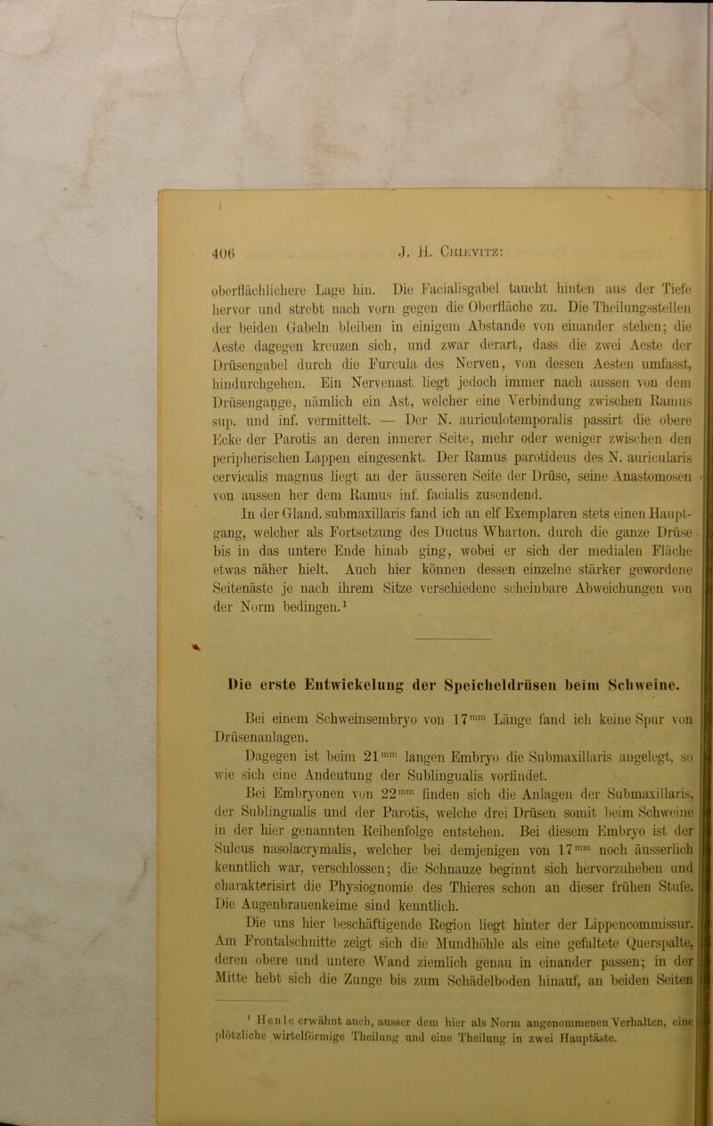 % oberflächlichere Lage hin. Die Facialisgabel taucht hinten aus der Tiefe hervor und strebt nach vorn gegen die Oberfläche zu. Die Theilungsstellen der beiden Gabeln bleiben in einigem Abstande von einander stehen; die Aeste dagegen kreuzen sich, und zwar derart, dass die zwei Aeste der Drüsengabel durch die Furcula des Nerven, von dessen Aesten umfasst, hindurchgehen. Ein Nervenast liegt jedoch immer nach aussen von dem Drüsengange, nämlich ein Ast, welcher eine Verbindung zwischen Ramus sup. und inf. vermittelt. — Der N. auriculotemporalis passirt die obere Ecke der Parotis an deren innerer Seite, mehr oder weniger zwischen den peripherischen Lappen eingesenkt. Der Ramus parotideus des N. auricularis cervicalis magnus liegt an der äusseren Seite der Drüse, seine Anastomosen von aussen her dem Ramus inf. facialis zusendend. In der Gland. submaxillaris fand ich an elf Exemplaren stets einen Haupt- gang, welcher als Fortsetzung des Ductus Wharton. durch die ganze Drüse bis in das untere Ende hinab ging, wobei er sich der medialen Fläche etwas näher hielt. Auch hier können dessen einzelne stärker gewordene Seitenästo je nach ihrem Sitze verschiedene scheinbare Abweichungen von der Norm bedingen.1 Die erste Entwickelung der Speicheldrüsen beim Schweine. Bei einem Schweinsembryo von 17mm Länge fand ich keine Spur von Drüsenanlagen. Dagegen ist beim 21mm langen Embryo die Submaxillaris angelegt, so wie sich eine Andeutung der Sublingualis vorflndet. Bei Embryonen von 22mm finden sich die Anlagen der Submaxillaris, der Sublingualis und der Parotis, welche drei Drüsen somit beim Schweine in der hier genannten Reihenfolge entstehen. Bei diesem Embryo ist der Sulcus nasolacrymalis, welcher bei demjenigen von 17mm noch äusserlich kenntlich war, verschlossen; die Schnauze beginnt sich hervorzuheben und charakterisirt die Physiognomie des Thicres schon an dieser frühen Stufe. Die Augenbrauenkeime sind kenntlich. Die uns hier beschäftigende Region liegt hinter der Lippencommissur. Am Frontalschnitte zeigt sich die Mundhöhle als eine gefaltete Querspalte, deren obere und untere Wand ziemlich genau in einander passen; in der Mitte hebt sich die Zunge bis zum Schädelboden hinauf, an beiden Seiten 1 Hen le erwähnt auch, ausser dem hier als Norm angenommenen Verhalten, eine plötzliche wirtclförmige Theilung und eine Theilung in zwei Hauptäste.