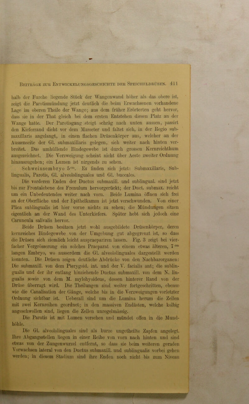 I Beiträge zur Entwickelungsgescpiichte der Speicheldrüsen. 411 halb der Furche liegende Stück der Wangenwand höher als das obere ist. zeigt die Parotismündung jetzt deutlich die beim Erwachsenen vorhandene Lage im oberen Theile der Wange; aus dem früher Erörterten geht hervor, dass sie in der That gleich bei dem ersten Entstehen diesen Platz an der Wange hatte. Der Parotisgang steigt schräg nach unten aussen, passirt den Kieferrand dicht vor dem Masseter und faltet sich, in der Regio sub- maxillaris angelangt, in einen flachen Drüsenkörper aus, welcher an der Aussenseite der Gl. submaxillaris gelegen, sich weiter nach hinten ver- breitet. Das umhüllende Bindegewebe ist durch grossen Kernreichthum ausgezeichnet. Die Verzweigung scheint nicht über Aeste zweiter Ordnung hinauszugehen; ein Lumen ist nirgends zu sehen. Schweinsembryo 5cm. Es finden sich jetzt: Submaxillaris, Sub- lingualis, Parotis, Gl. alveololinguales und Gl. buccales. Die vorderen Enden der Ductus submaxill. und sublingual, sind jetzt bis zur Frontalebene des Frenulum hervorgerückt; der Duct. submax. reicht um ein Unbedeutendes weiter nach vorn. Beide Lumina öffnen sich frei an der Oberfläche und der Epithelkamm ist jetzt verschwunden. Von einer Phca snbhnguahs ist hier vorne nichts zu sehen; die Mündungen sitzen eigentlich an der Wand des Unterkiefers. Später hebt sich jedoch eine Caruncula salivalis hervor. Beide Drüsen besitzen jetzt wohl ausgebildete Drüsenkörper, deren kernreiclies Bindegewebe von der Umgebung gut abgegrenzt ist, so dass die Drüsen sich ziemlich leicht auspraepariren lassen. Fig. 3 zeigt bei vier- facher Vergrösserung ein solches Praeparat von einem etwas älteren, 7cm langen Embryo, wo ausserdem die Gl. alveololinguales dargestellt werden konnten. Die Drüsen zeigen deutliche Abdrücke von den Nachbarorganen: Die submaxill. von dem Pterygoid. int. und der V. facialis ant; die sublin- guahs und der ihr entlang hinziehende Ductus submaxill. von dem N. lin- gualis sowie von dem M. mylohyoideus, dessen hinterer Rand von der Drüse überragt wird. Die Theilungen sind weiter fortgeschritten, ebenso wie die Canalisation der Gänge, welche bis in die Verzweigungen vorletzter Ordnung sichtbar ist. Ueberall sind um die Lumina herum die Zellen mit zwei Kernreihen geordnet; in den massiven Endästen, welche kolbig angeschwollen sind, hegen die Zellen unregelmässig. Die Parotis ist mit Lumen versehen und mündet offen in die Mund- höhle. Die Gl. alveololinguales sind als kurze ungetheilte Zapfen angelegt. Ihre Abgangsstellen liegen in einer Reihe von vorn nach hinten und sind etwas von der Zungenwurzel entfernt, so dass sie beim weiteren geraden Vorwachsen lateral von den Ductus submaxill. und sublingualis vorbei gehen werden; in diesem Stadium sind ihre Enden noch nicht bis zum Niveau