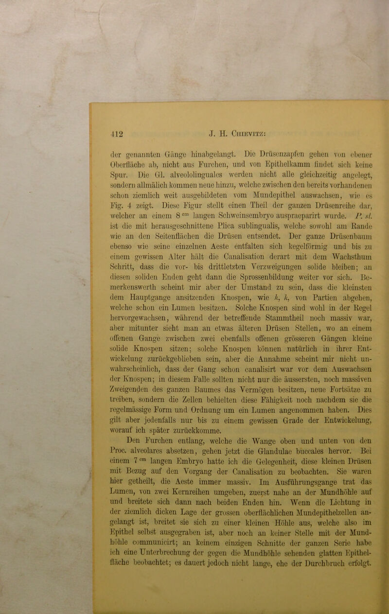 ___ - der genannten Gänge hinabgelangt. Die Drüsenzapfen gehen von ebener Oberfläche ab, nicht aus Furchen, und von Epithelkamm findet sich keine Spur. Die Gl. alveololinguales werden nicht alle gleichzeitig angelegt, sondern allmälich kommen neue hinzu, welche zwischen den bereits vorhandenen schon ziemlich weit ausgebildeten vom Mundepithel auswachsen, wie es Fig. 4 zeigt. Diese Figur stellt einen Theil der ganzen Drüsenreihe dar, welcher an einem 8cm langen Schweinsembryo auspraeparirt wurde. 1\ sl. ist die mit herausgeschnittene Plica sublingualis, welche sowohl am Rande wie an den Seitenflächen die Drüsen entsendet. Der ganze Drüsenbaum ebenso wie seine einzelnen Aeste entfalten sich kegelförmig und bis zu einem gewissen Alter hält die Canalisation derart mit dem Wachsthum Schritt, dass die vor- bis drittletzten Verzweigungen solide bleiben; an diesen soliden Enden geht dann die Sprossenbildung weiter vor sich. Be- merkenswerth scheint mir aber der Umstand zu sein, dass die kleinsten dem Hauptgange ansitzenden Knospen, wie k, k, von Partien abgehen, welche schon ein Lumen besitzen. Solche Knospen sind wohl in der Regel hervorgewachsen, während der betreffende Stammtheil noch massiv war, aber mitunter sieht man an etwas älteren Drüsen Stellen, wo an einem offenen Gange zwischen zwei ebenfalls offenen grösseren Gängen kleine solide Knospen sitzen; solche Knospen können natürlich in ihrer Ent- wickelung zurückgeblieben sein, aber die Annahme scheint mir nicht un- wahrscheinlich, dass der Gang schon canalisirt war vor dem Auswachsen der Knospen; in diesem Falle sollten nicht nur die äussersten, noch massiven Zweigenden des ganzen Baumes das Vermögen besitzen, neue Fortsätze zu treiben, sondern die Zellen behielten diese Fähigkeit noch nachdem sie die regelmässige Form und Ordnung um ein Lumen angenommen haben. Dies gilt aber jedenfalls nur bis zu einem gewissen Grade der Entwickelung, worauf ich später zurückkomme. Den Furchen entlang, welche die Wange oben und unten von den Proc. alveolares absetzen, gehen jetzt die Glandulae buccales hervor. Bei einem 7 cm langen Embryo hatte ich die Gelegenheit, diese kleinen Drüsen mit Bezug auf den Vorgang der Canalisation zu beobachten. Sie waren hier getheilt, die Aeste immer massiv. Im Ausführungsgange trat das Lumen, von zwei Kernreihen umgeben, zuerst nahe an der Mundhöhle auf und breitete sich dann nach beiden Enden hin. Wenn die Lichtung in der ziemlich dicken Lage der grossen oberflächlichen Mundepithelzellen an- gelangt ist, breitet sie sich zu einer kleinen Höhle aus, welche also im Epithel selbst ausgegraben ist, aber noch an keiner Stelle mit der Mund- höhle communicirt; an keinem einzigen Schnitte der ganzen Serie habe ich eine Unterbrechung der gegen die Mundhöhle sehenden glatten Epithel- fläche beobachtet; es dauert jedoch nicht lange, ehe der Durchbruch erfolgt.