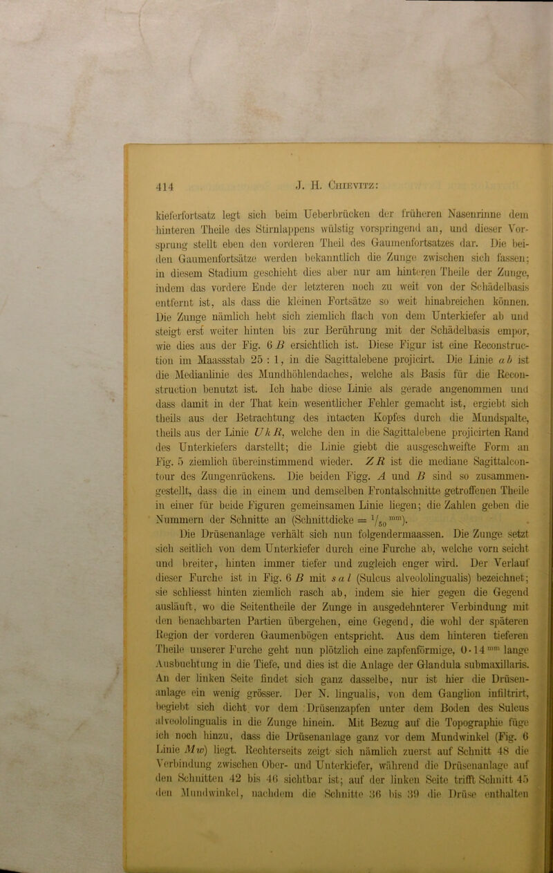 kieferfortsatz legt sich beim Ueberbrücken der früheren Nasenrinne dem hinteren Theile des Stirnlappens wülstig vorspringend an, und dieser Vor- sprung stellt eben den vorderen Tlieil des Gaumenfortsatzes dar. Die bei- den Gaumenfortsätze werden bekanntlich die Zunge zwischen sich fassen; in diesem Stadium geschieht dies aber nur am hinteren Theile der Zunge, indem das vordere Ende der letzteren noch zu weit von der Schädelbasis entfernt ist, als dass die kleinen Fortsätze so weit hinabreichen können. Die Zunge nämlich hebt sich ziemlich Hach von dein Unterkiefer ab und steigt erst weiter hinten bis zur Berührung mit der Schädelbasis empor, wie dies aus der Fig. 6 B ersichtlich ist. Diese Figur ist eine Reconstruc- tion im Maassstab 25 : 1, in die Sagittalebene projicirt. Die Linie a b ist die Medianlinie des Mundhöhlendaches, welche als Basis für die Recon- struction benutzt ist. Ich habe diese Linie als gerade angenommen und dass damit in der That kein wesentlicher Fehler gemacht ist, ergiebt sich theils aus der Betrachtung des mtacten Kopfes durch die Mundspalte, tlieils aus der Linie UkR, welche den in die Sagittalebene projicirten Rand des Unterkiefers darstellt; die Linie giebt die ausgeschweifte Form an Fig. 5 ziemlich übereinstimmend wieder. ZR ist die mediane Sagittalcon- tour des Zungenrückens. Die beiden Figg. A und B sind so zusammen- gestellt, dass die in einem und demselben Frontalschnitte getroffenen Theile in einer für beide Figuren gemeinsamen Linie liegen; die Zahlen geben die Nummern der Schnitte an (Schnittdicke = 1f50 mm). Die Drüsenanlage verhält sich nun folgendermaassen. Die Zunge setzt sich seitlich von dem Unterkiefer durch eine Furche ab, welche vorn seicht und breiter, hinten immer tiefer und zugleich enger wird. Der Verlauf dieser Furche ist in Fig. 6 B mit sal (Sulcus alveololingualis) bezeichnet; sie schliesst hinten ziemlich rasch ab, indem sie hier gegen die Gegend ausläuft, wo die Seitentheile der Zunge in ausgedehnterer Verbindung mit den benachbarten Partien übergehen, eine Gegend, die wohl der späteren Region der vorderen Gaumenbögen entspricht. Aus dem hinteren tieferen Theile unserer Furche geht nun plötzlich eine zapfenförmige, O-14mm lange Ausbuchtung in die Tiefe, und dies ist die Anlage der Glandula submaxillaris. An der linken Seite findet sich ganz dasselbe, nur ist hier die Drüsen- anlage ein wenig grösser. Der N. lingualis, von dem Ganglion infiltrirt, bcgiebt sich dicht vor dem Drüsenzapfen unter dem Boden des Sulcus alveololingualis in die Zunge hinein. Mit Bezug auf die Topographie füge ich noch hinzu, dass die Drüsenanlage ganz vor dem Mundwinkel (Fig. 6 Linie Mw) liegt. Rechterseits zeigt- sich nämlich zuerst auf Schnitt 48 die Verbindung zwischen Ober- und Unterkiefer, während die Drüsenanlage auf den Schnitten 42 bis 40 sichtbar ist; auf der linken Seite trifft Schnitt 45 den Mundwinkel, nachdem die Schnitte 36 bis 39 die Drüse enthalten