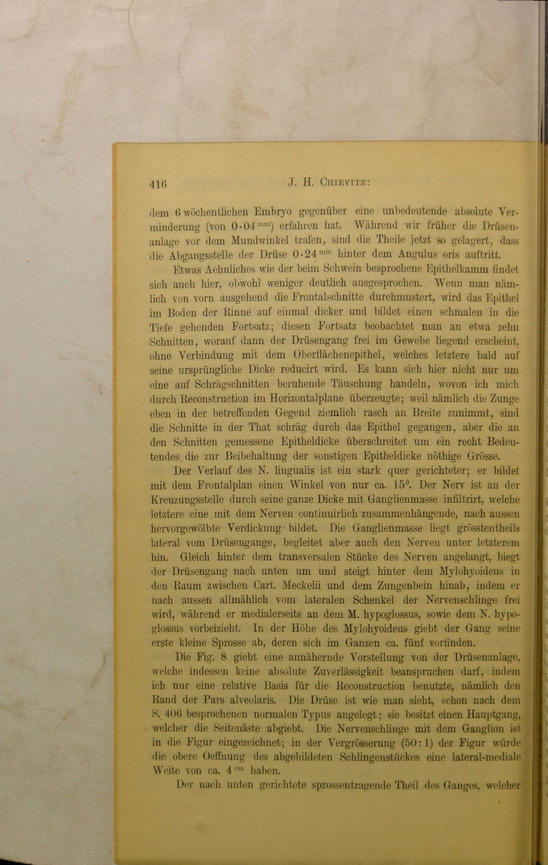 dem 6 wöchentlichen Embryo gegenüber eine unbedeutende absolute Ver- minderung (von 0 • 04mm) erfahren hat. Während wir früher die Drüsen- anlage vor dem Mundwinkel trafen, sind die Theile jetzt so gelagert, dass die Abgangsstelle der Drüse 0-24mm hinter dem Angulus oris auftritt. Etwas Aehnliches wie der beim Schwein besprochene Epithelkamm findet sich auch hier, obwohl weniger deutlich ausgesprochen. Wenn man näm- lich von vorn ausgehend die Frontalschnitte durchmustert, wird das Epithel im Boden der Rinne auf einmal dicker und bildet einen schmalen in die Tiefe gehenden Fortsatz; diesen Fortsatz beobachtet man an etwa zehn Schnitten, worauf dann der Drüsengang frei im Gewebe liegend erscheint, ohne Verbindung mit dem Überflächenepithel, welches letztere bald auf seine ursprüngliche Dicke reducirt wird. Es kann sich hier nicht nur um eine auf Schrägschnitten beruhende Täuschung handeln, wovon ich mich durch Reconstruction im Horizontalplane überzeugte; weil nämlich die Zunge eben in der betreffenden Gegend ziemlich rasch an Breite zunimmt, sind die Schnitte in der That schräg durch das Epithel gegangen, aber die an den Schnitten gemessene Epitheldicke überschreitet um ein recht Bedeu- tendes die zur Beibehaltung der sonstigen Epitheldicke nöthige Grösse. Der Verlauf des N. lingualis ist ein stark quer gerichteter; er bildet mit dem Frontalplan einen Winkel von nur ca. 15°. Der Nerv ist an der Kreuzungsstelle durch seine ganze Dicke mit Ganglienmasse infiltrirt, welche letztere eine mit dem Nerven continuiiiich zusammenhängende, nach aussen hervorgewölbte Verdickung bildet. Die Ganglienmasse hegt grösstentkeils lateral vom Drüsengange, begleitet aber auch den Nerven unter letzterem hin. Gleich hinter dem transversalen Stücke des Nerven angelangt, biegt der Drüsengang nach unten um und steigt hinter dem Mylohyoideus in den Raum zwischen Gart. Meckelii und dem Zungenbein hinab, indem er nach aussen allmählich vom lateralen Schenkel der Nervenschlinge frei wird, während er medialerseits an dem M. hypoglossus, sowie dem N. hypo- glossus vorbeizieht. In der Höhe des Mylohyoideus giebt der Gang seine erste kleine Sprosse ab, deren sich im Ganzen ca. fünf vorlinden. Die Fig. 8 giebt eine annähernde Vorstellung von der Drüsenanlage, welche indessen keine absolute Zuverlässigkeit beanspruchen darf, indem ich nur eine relative Basis für die Reconstruction benutzte, nämlich den Rand der Pars alveolaris. Die Drüse ist wie man sieht, schon nach dem S. 406 besprochenen normalen Typus angelegt; sie besitzt einen Hauptgang, welcher die Seitenäste abgiebt. Die Nervenschlinge mit dem Ganglion ist in die Figur eingezeichnet; in der Vergrösserung (50:1) der Figur würde die obere Üeffnung des abgebildeten Schlingenstückes eine lateral-mediale Weite von ca. 4om haben. Der nach unten gerichtete sprossentragende Tlieil des Ganges, welcher