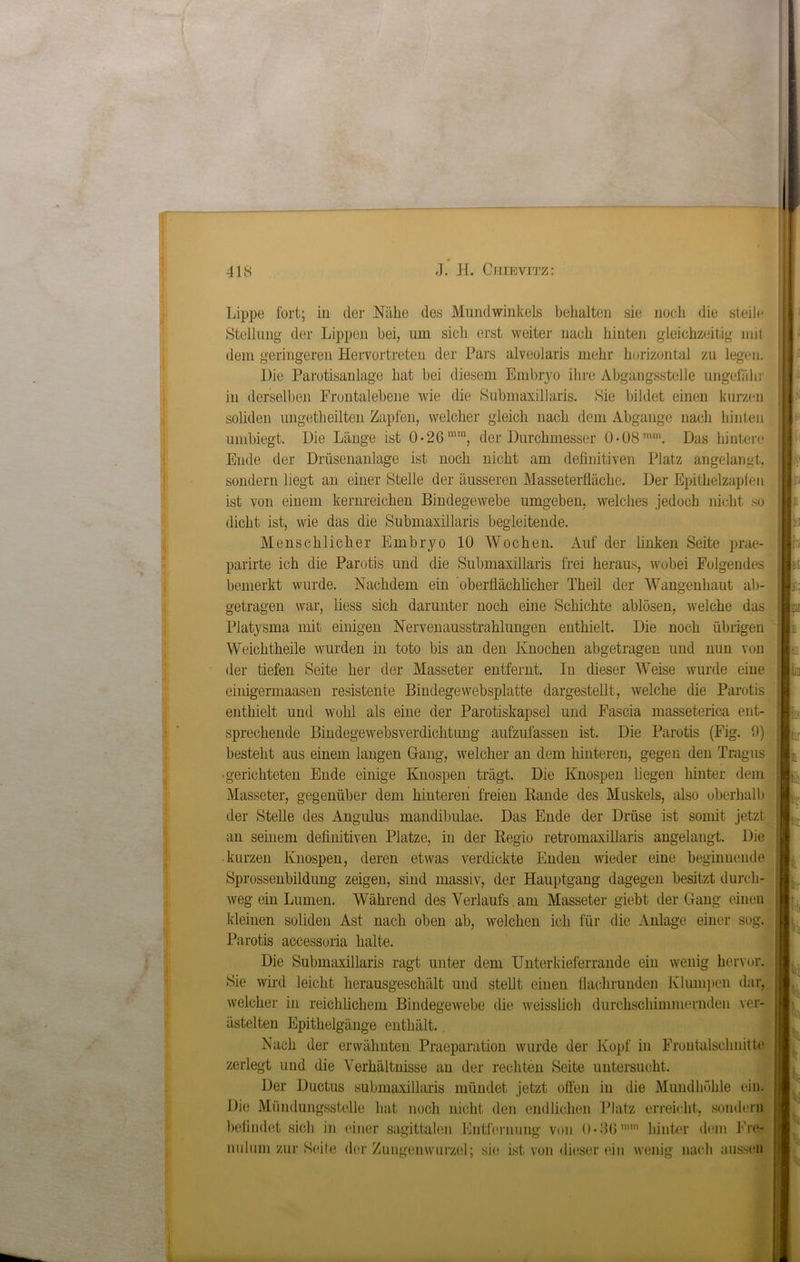 Lippe fort; in der Nähe des Mundwinkels behalten sie noch die steile Stellung der Lippen bei, um sich erst weiter nach hinten gleichzeitig mit dem geringeren Hervortreten der Pars alveolaris mehr horizontal zu legen. Hie Parotisanlage hat bei diesem Embryo ihre Abgangsstelle ungefähr in derselben Frontalebene wie die Submaxillaris. Sie bildet einen kurzen soliden ungeteilten Zapfen, welcher gleich nach dem Abgänge nach hinten umbiegt. Die Länge ist 0-26mm, der Durchmesser 0-08mm. Das hintere Ende der Drüsenanlage ist noch nicht am definitiven Platz angelangt, sondern liegt an einer Stelle der äusseren Masseterfläche. Der Epithelzapf eil ist von einem kernreichen Bindegewebe umgeben, welches jedoch nicht so dicht ist, wie das die Submaxillaris begleitende. Menschlicher Embryo 10 Wochen. Auf der linken Seite prae- parirte ich die Parotis und die Submaxillaris frei heraus, wubei Folgendes bemerkt wurde. Nachdem ein oberflächlicher Theil der Wangenhaut ab- getragen war, liess sich darunter noch eine Schichte ablösen, welche das Platysma mit einigen Nervenausstrahlungen enthielt. Die noch übrigen Weichtheile wurden in toto bis an den Knochen abgetragen und nun von der tiefen Seite her der Masseter entfernt. In dieser Weise wurde eine einigermaasen resistente Bindegewebsplatte dargestellt, welche die Parotis enthielt und wohl als eine der Parotiskapsel und Fascia masseterica ent- sprechende Bindegewebsverdichtung aufzufassen ist. Die Parotis (Fig. 0) besteht aus einem langen Gang, welcher an dem hinteren, gegen den Tragus •gerichteten Ende einige Knospen trägt. Die Knospen liegen hinter dem Masseter, gegenüber dem hinteren freien Rande des Muskels, also oberhalb der Stelle des Angulus mandibulae. Das Ende der Drüse ist somit jetzt an seinem definitiven Platze, in der Regio retromaxülaris angelangt. Die kurzen Knospen, deren etwas verdickte Enden wieder eine beginnende Sprossenbildung zeigen, sind massiv, der Hauptgang dagegen besitzt durch- weg ein Lumen. Während des Verlaufs am Masseter giebt der Gang einen kleinen soliden Ast nach oben ab, welchen ich für die Anlage einer sog. Parotis accessoria halte. Die Submaxillaris ragt unter dem Unterkieferrande ein wenig hervor. Sie wird leicht herausgeschält und stellt einen flachrunden Klumpen dar, welcher in reichlichem Bindegewebe die weisslich durchschimmernden ver- ästelten Epithelgänge enthält.. Nach der erwähnten Pracparation wurde der Kopf in Frontalschnitte zerlegt und die Verhältnisse an der rechten Seite untersucht. Der Ductus submaxillaris mündet jetzt offen in die Mundhöhle ein. Die Mündungsstelle hat noch nicht den endlichen Platz erreicht, sondern befindet sich in einer sagittalen Entfernung von ()• 36,n,n hinter dem Fre- nulum zur Seite der Zungenwurzel; sie ist von dieser ein wenig nach aussen