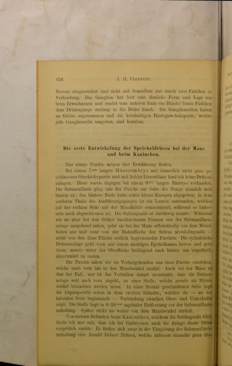 Nerven ausgesondert und steht mit demselben nur durch zwei Fädehen in Verbindung. Das Ganglion hat liier eine ähnliche Form und Lage wie beim Erwachsenen und sendet vom unteren Ende ein Bündel feiner Fädchen dem Drüsengange entlang in die Drüse hinab. Die Ganglienzellen haben an Grösse zugenommen und die kernhaltigen Bindegewebskapseln, welche jede Ganglienzelle umgeben, sind kennbar. Die erste Entwickelung (1er Speicheldrüsen hei der Maus und heim Kaninchen. Nur einige Punkte mögen hier Erwähnung finden. Bei einem 7mm langen Mäuseembryo mit äusserlich nicht ganz ge- schlossener Oberkieferpartie und mit hohler Linsenblase fand ich keine Drüsen- anlagen. Diese waren dagegen bei einem 9mm langen Embryo vorhanden. Die Submaxillaris ging aus der Furche zur Seite der Zunge ziemlich weit hinten ab; das hintere Ende hatte schon kleine Knospen abgegeben; in dem vorderen Theile des Ausfübrungsganges ist ein Lumen entstanden, welches auf der rechten Seite mit der Mundhöhle commünicirt, während es linker- seits noch abgeschlossen ist. Die Sublingualis ist durchweg massiv. Während wir sie aber bei den früher beschriebenen Formen von der Submaxillaris- anlage ausgehend sahen, geht sie bei der Maus selbstständig von dem Mund- boden aus und zwar von der Bodeiifiäche des Sulcus alveololingualis — nicht von den diese Fläche seitlich begrenzenden Furchen. Die cy lind rische Drüsenanlage geht vorn aus einem niedrigen Epithelkamm hervor und geht j dann, massiv unter der Oberfläche freiliegend nach hinten um ungetheilt, abgerundet zu enden. Die Parotis sähen wir im Vorhergehenden aus einer Furche entstehen, welche nach vorn hin in den Mundwinkel auslief. Auch bei der Maus ist i dies der Fall, nur ist das Verhalten derart accentuirt, dass die Drüsen- anlage weit nach vorn abgeht, an einer Stelle, welche gerade als Mund- winkel betrachtet werden muss. In einer frontal geschnittenen Serie liegt I die Abgangsstelle schon in dem zweiten Schnitte, welcher die — an der I lateralen Seite beginnende —Verbindung zwischen Ober- und Unterkiefer zeigt. Die Stelle liegt in 0*24mm sagittaler Entfernung vor der Submaxillaris- 5 mündung. Später rückt sie weiter von dem Mundwinkel zurück. Von meinen Befunden beim Kaninchen, welchem die Sublingualis fehlt, theile ich nur mit, dass ich bei Embryonen auch die Anlage dieser Drüse ; vergeblich suchte. Es finden sich zwar in der Umgebung der Submaxillaris- j mündung eine Anzahl kleiner Drüsen, welche indessen einander ganz äliu-