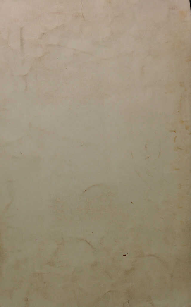 digitised image 2