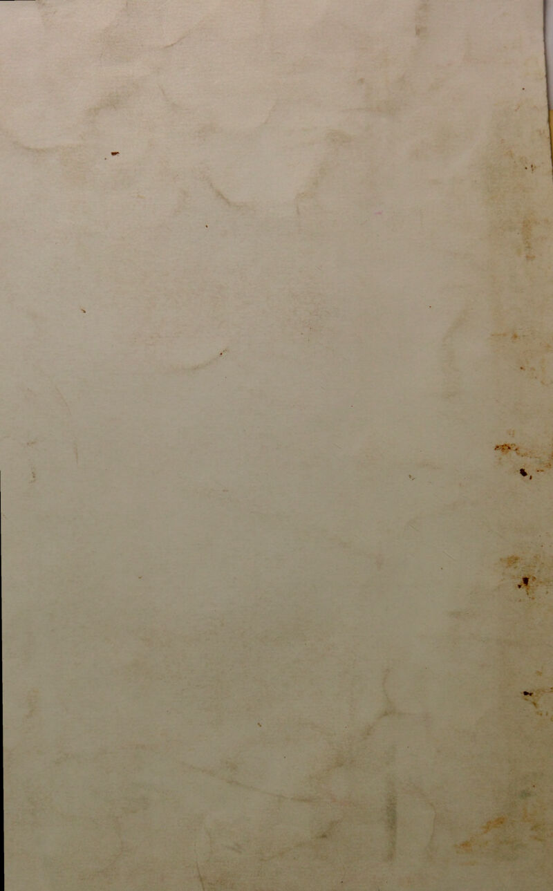 * •’»\j ^ .. V.I■ î«r '‘ ^*4',-. ! !• 2r -( WtÊBt  * '  -K V* , r*» ' -. ^ .'.^ï,. '' ‘ Y^, '- •^^aT*' • ^fî: •'.-J « à. - 'V T ,;'■ ' r .' ‘ 5r ^ '^il?5 -- . .-.-V , v.-^». ~ii» '■ -.■■iw’-Y’i,. ^ f--- -: ,-^~..-ir • ,- ,■ f » ’lVr  ^ “ . *« ■ -'■t . • - >î<i* •V \- ^v’- ; .--K ■ . « 4 . ï*'ji'■' ”■’• ’•'■ w •* ■ ■* r‘^.' ■ )£, ' ■- T ’t . '..\ t >^. * I* * ^ .1 '■ ■'■ »«■».■ ' . >-.*'. ' -■■ ■v' - ^ ÿf ■'-- - ■ - ''■^. 1‘ •''''V .1 , fcir* •. S’^<. r-iv: V' • f' ' --f ■ ' •• v'’ 'V^ J* ''fi'' •« ^••'•* 'i \y!^.L:yJr -':' ^r-., V : ..:r, .. . ^ ^ \ : ■ ' '.Vr- ■âjf ,v T' ••4'^-' ', ■» .* .- * V ■ ,. .• -^ - V,-  ' ** 4, •• ‘. ■**’ ’J/ î-Sfî-f.'.'vA V '^'S 'T V.:'.'i J^^'''.!'J'v^ .■. •>■•' ■x-'ÿ*-/k-i ■■ . ^'■ÿf '-fcll;*- ... i::